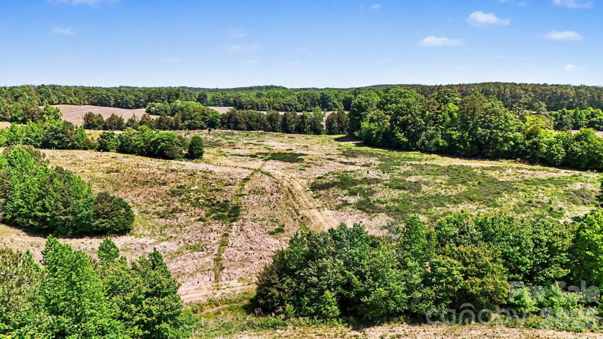 1832 Tysinger Road - Photo 10