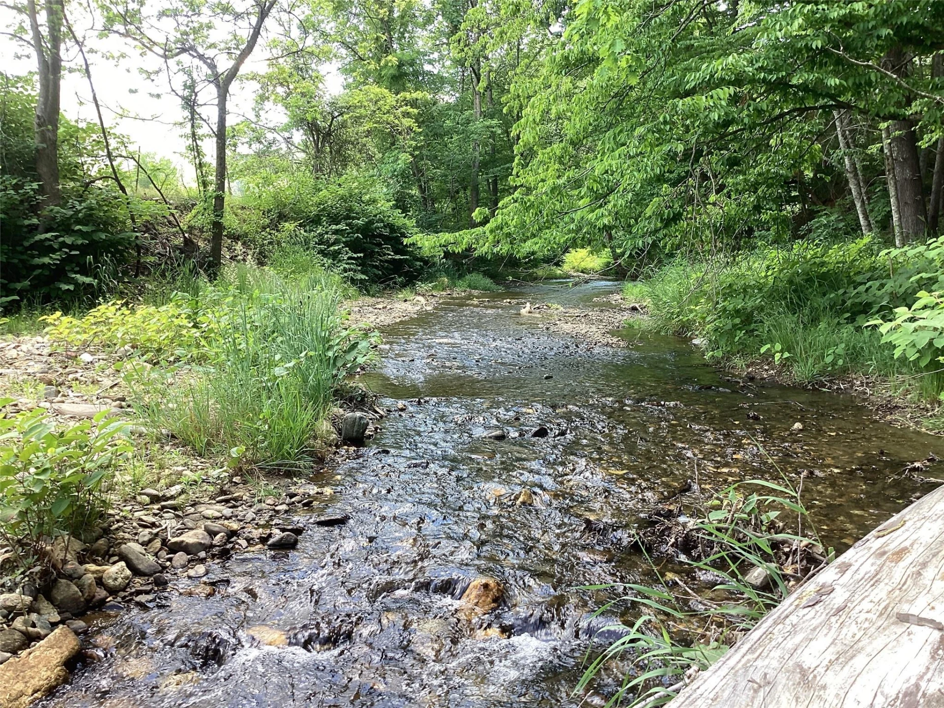 00 Bolens Creek Road - Photo 2