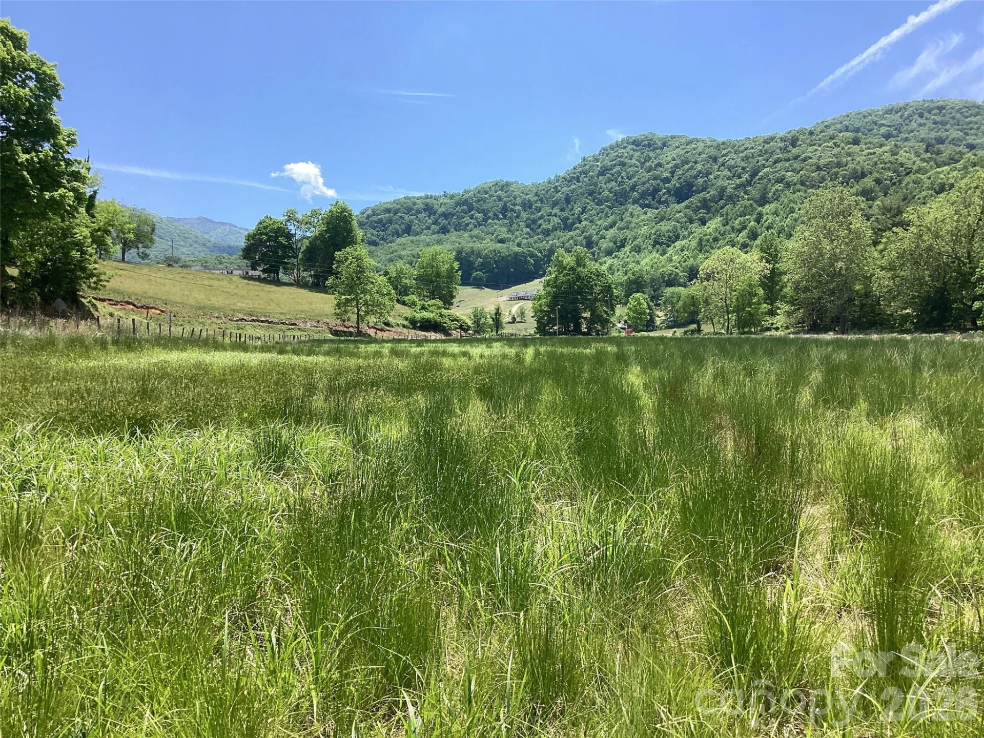 00 Bolens Creek Road - Photo 12
