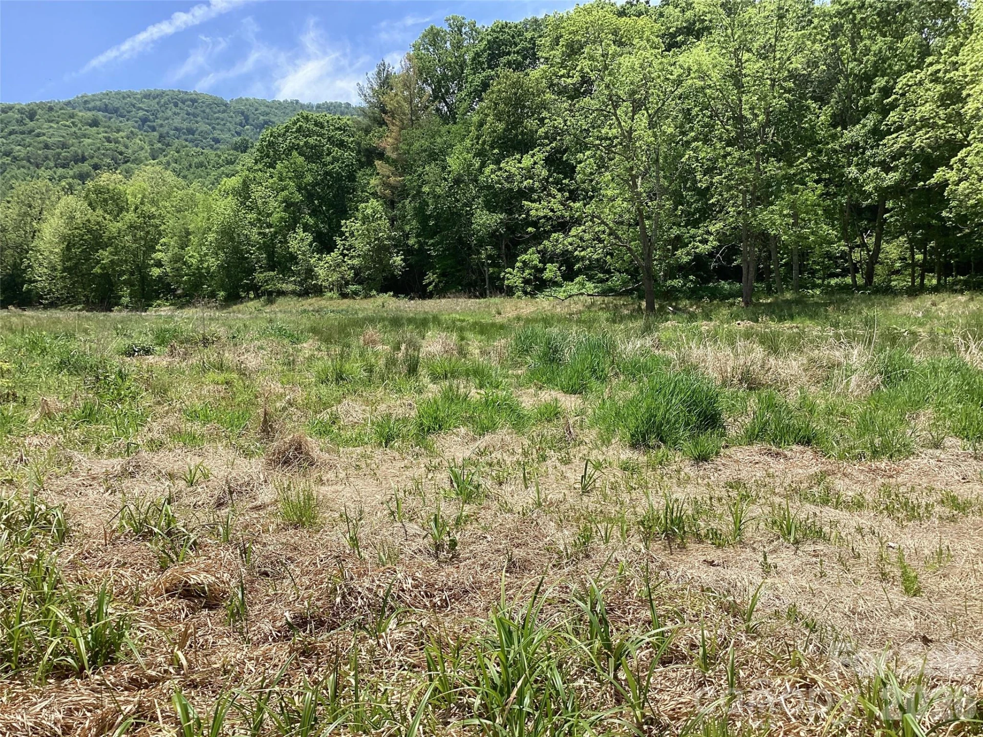 00 Bolens Creek Road - Photo 15