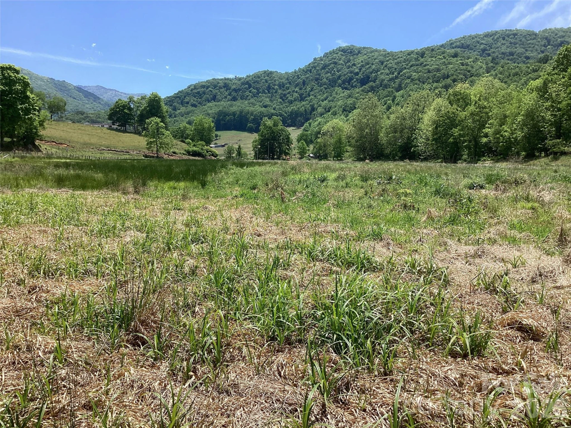 00 Bolens Creek Road - Photo 16