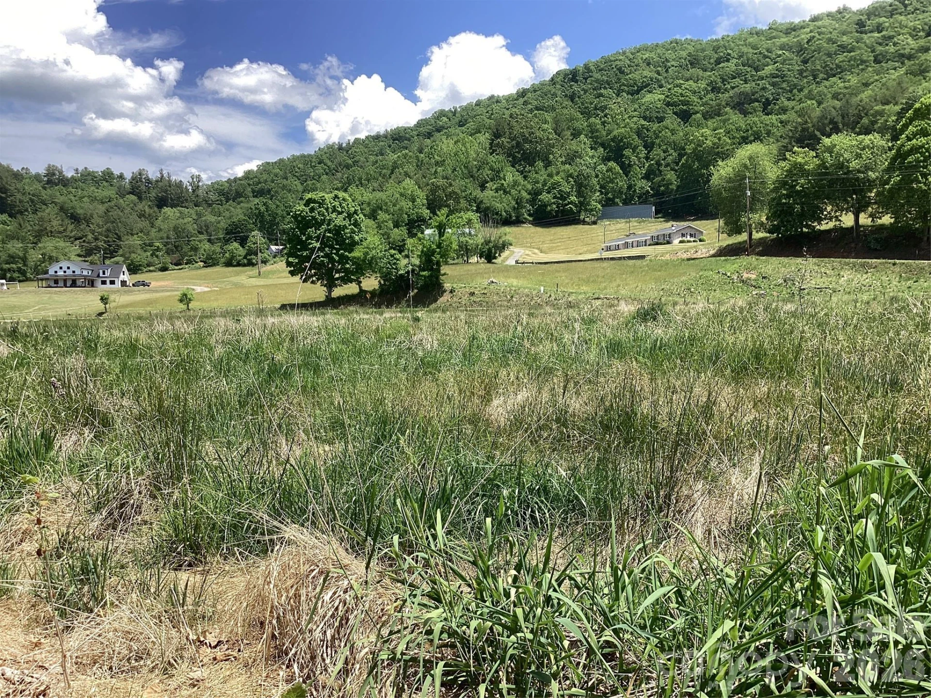 00 Bolens Creek Road - Photo 3