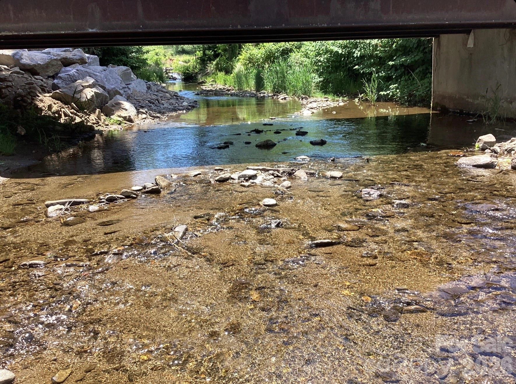 00 Bolens Creek Road - Photo 4