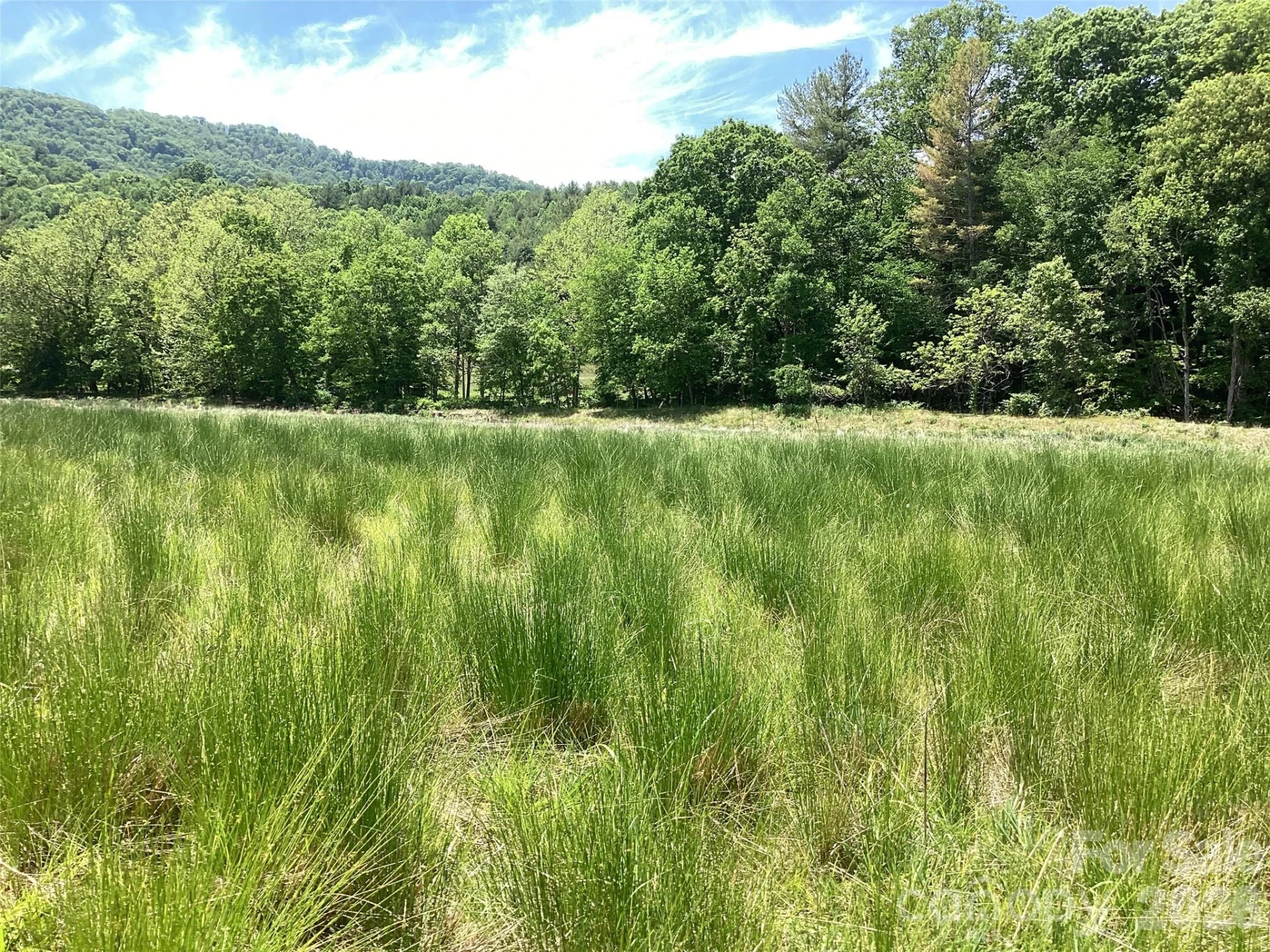 00 Bolens Creek Road - Photo 5