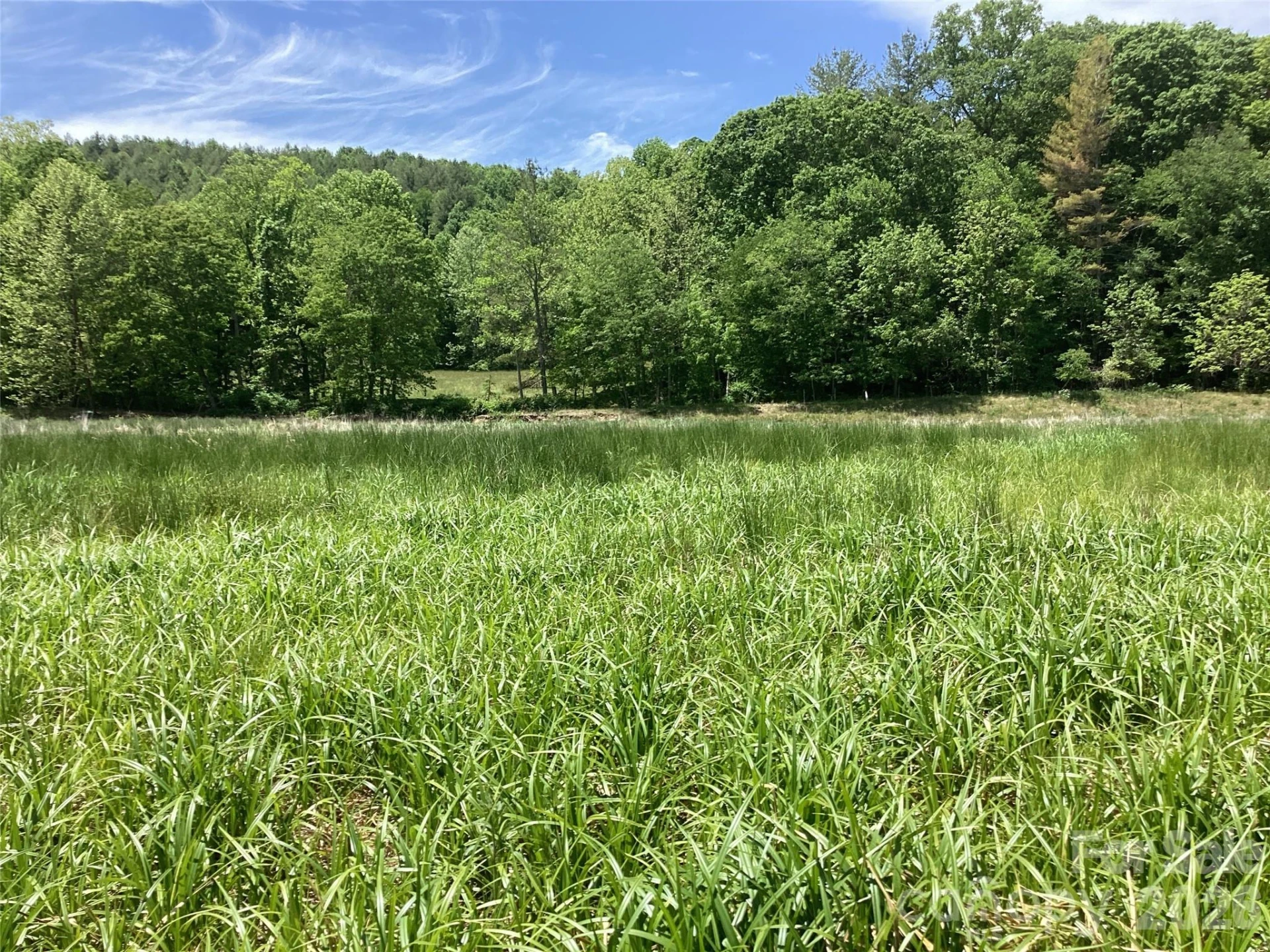 00 Bolens Creek Road - Photo 6