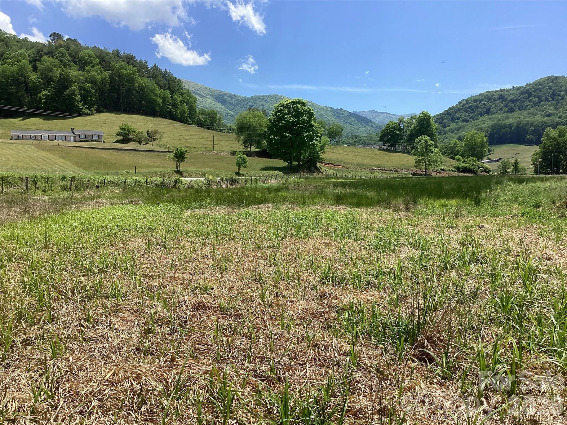 00 Bolens Creek Road - Photo 7