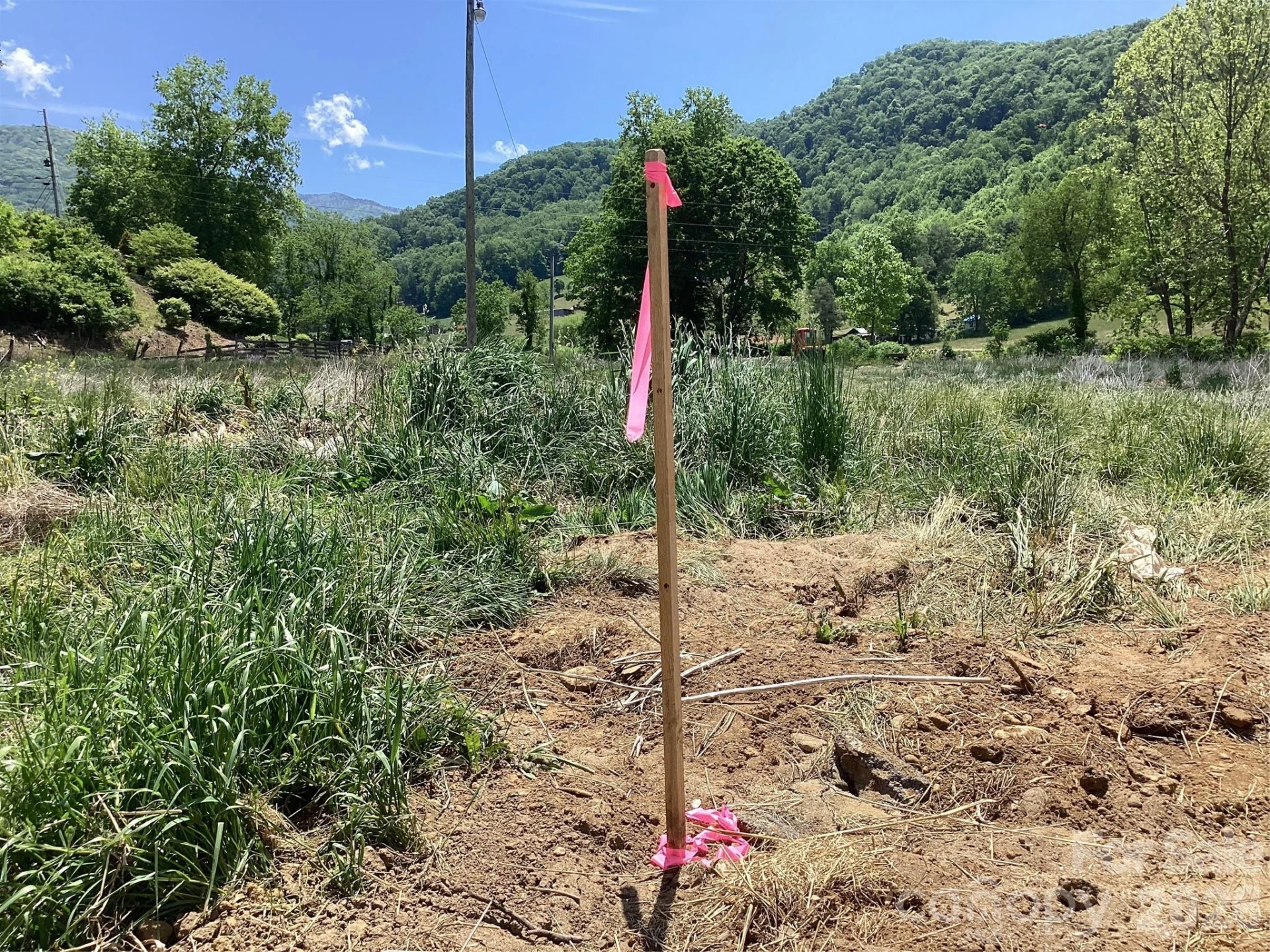 00 Bolens Creek Road - Photo 8
