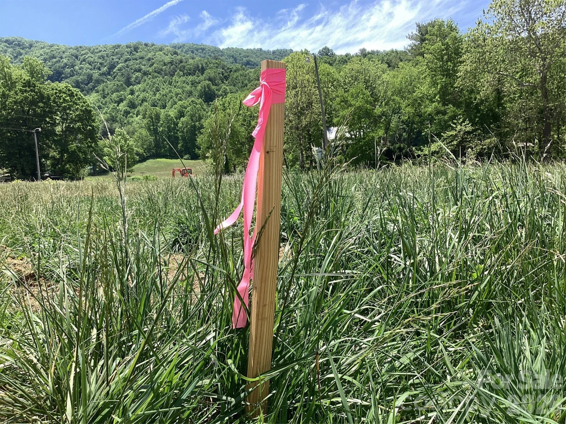 00 Bolens Creek Road - Photo 9