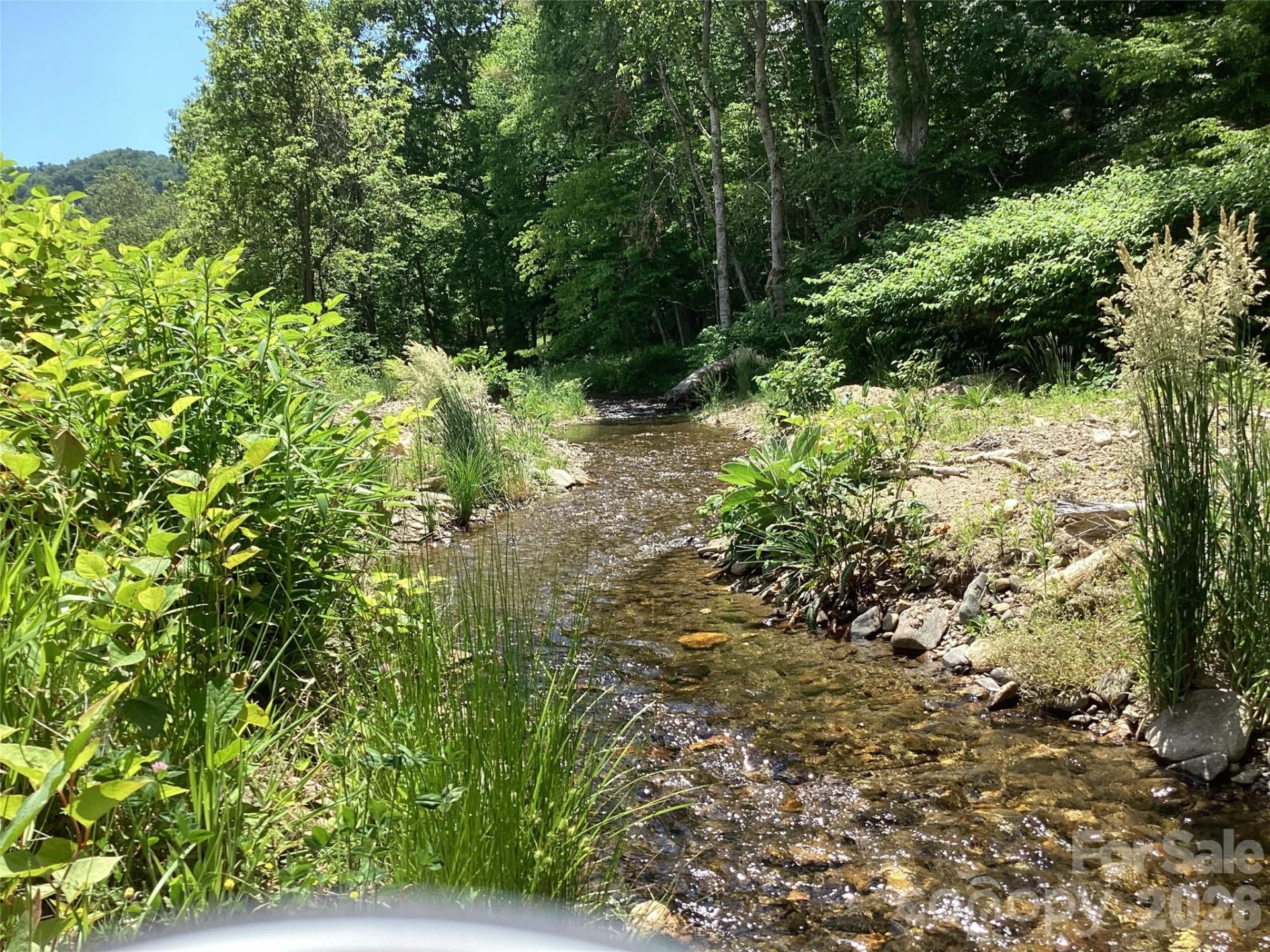 00 Bolens Creek Road - Photo 10