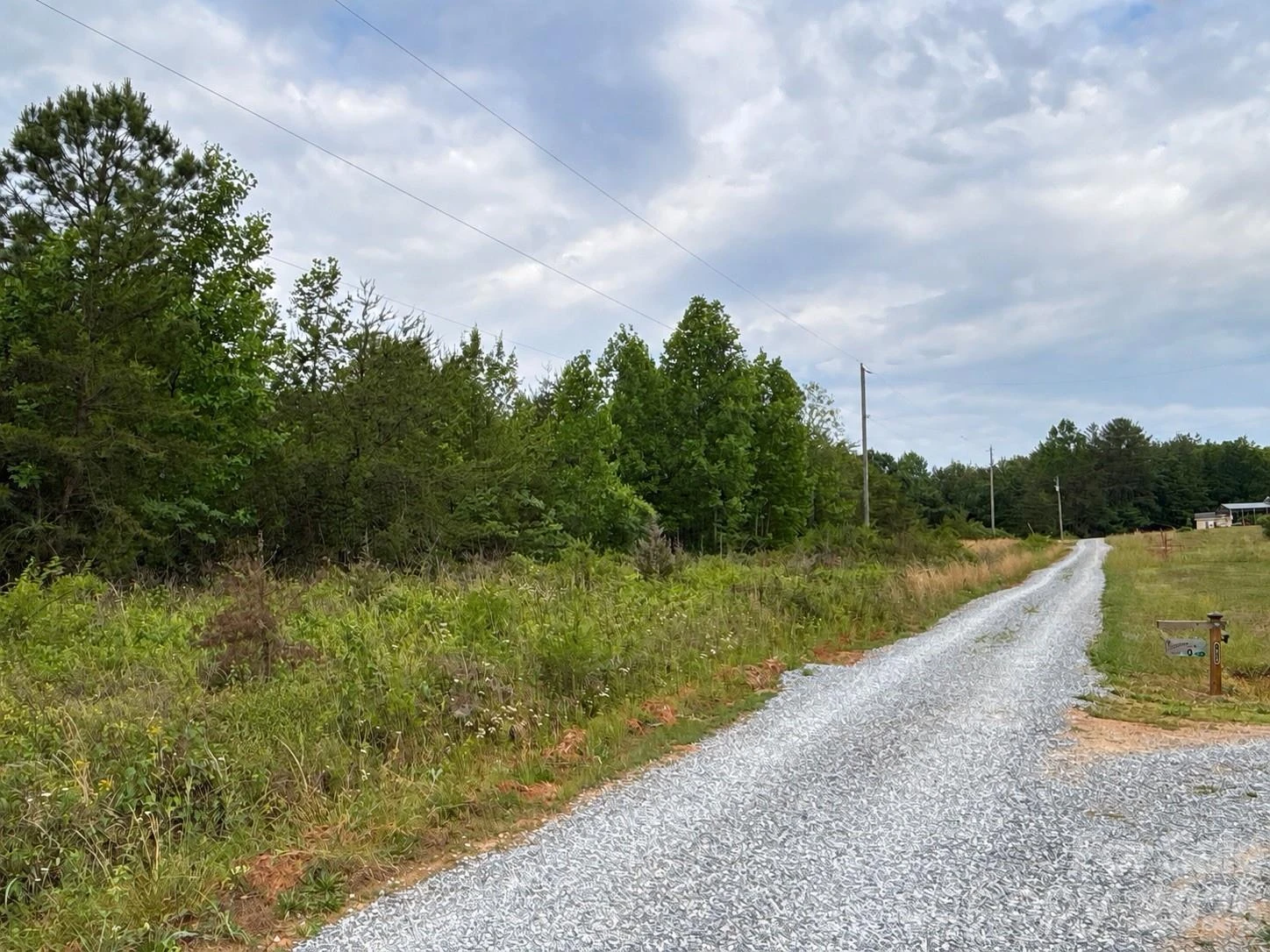 00 J Thomas Road - Photo 3