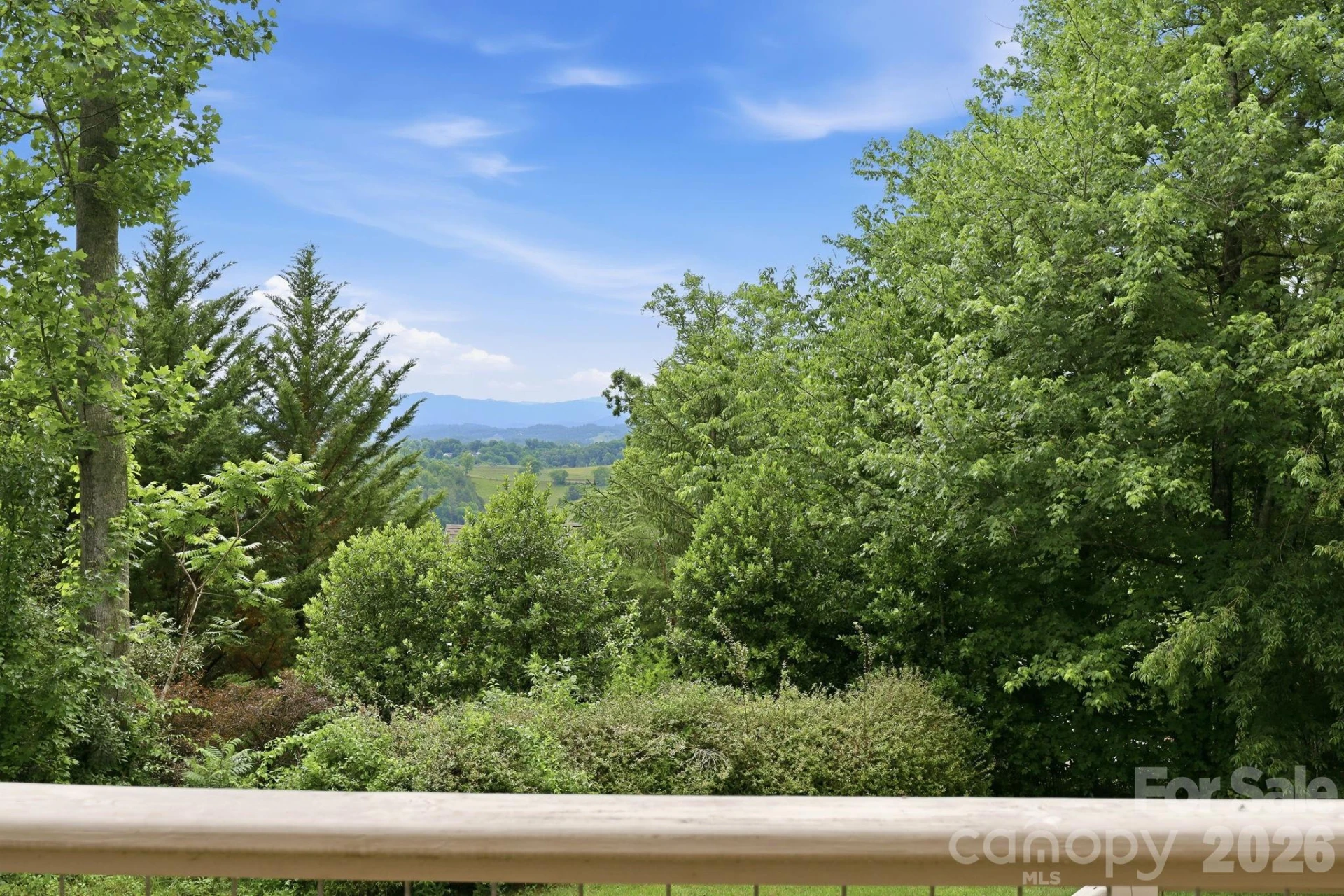 65 Buckle Ridge - Photo 13