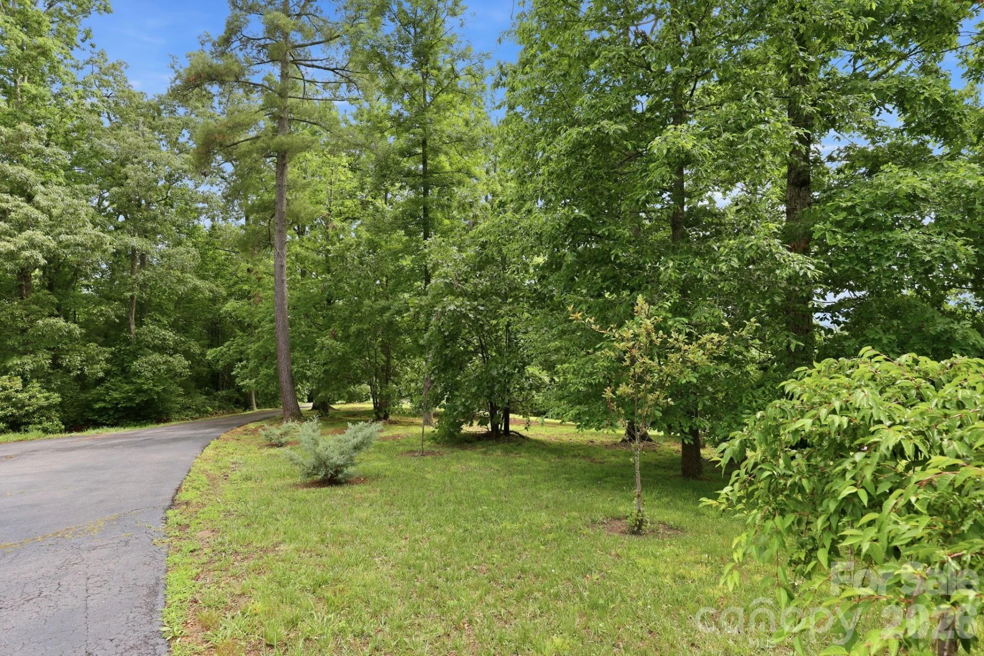 65 Buckle Ridge - Photo 5