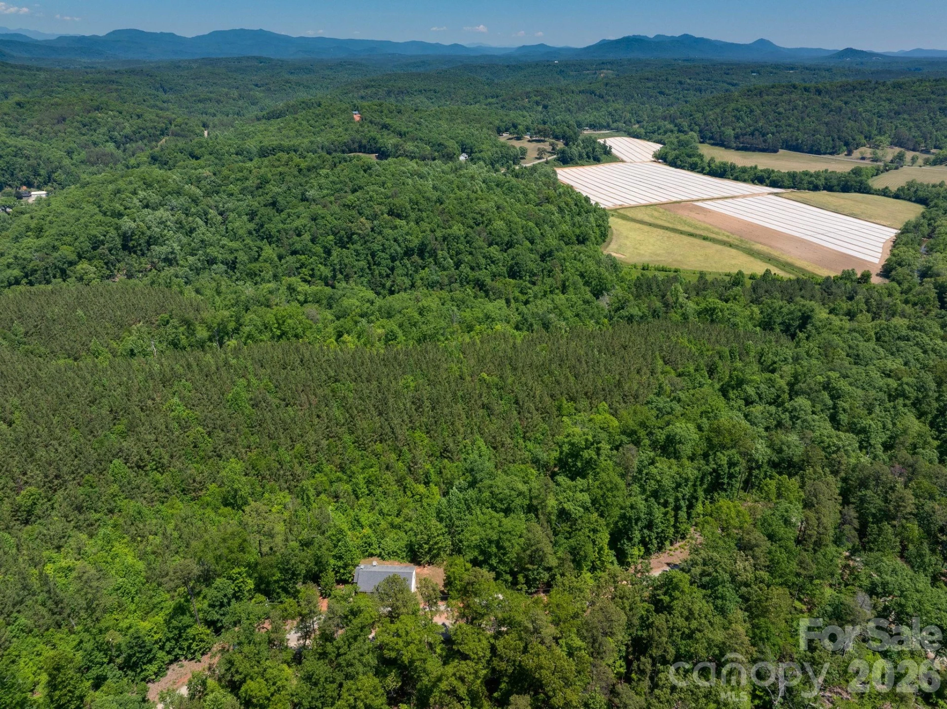 419 Travelers Rest Lane - Photo 30