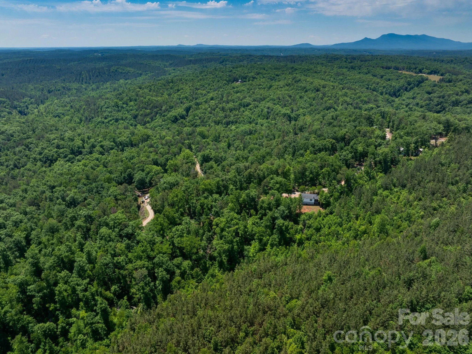 419 Travelers Rest Lane - Photo 31