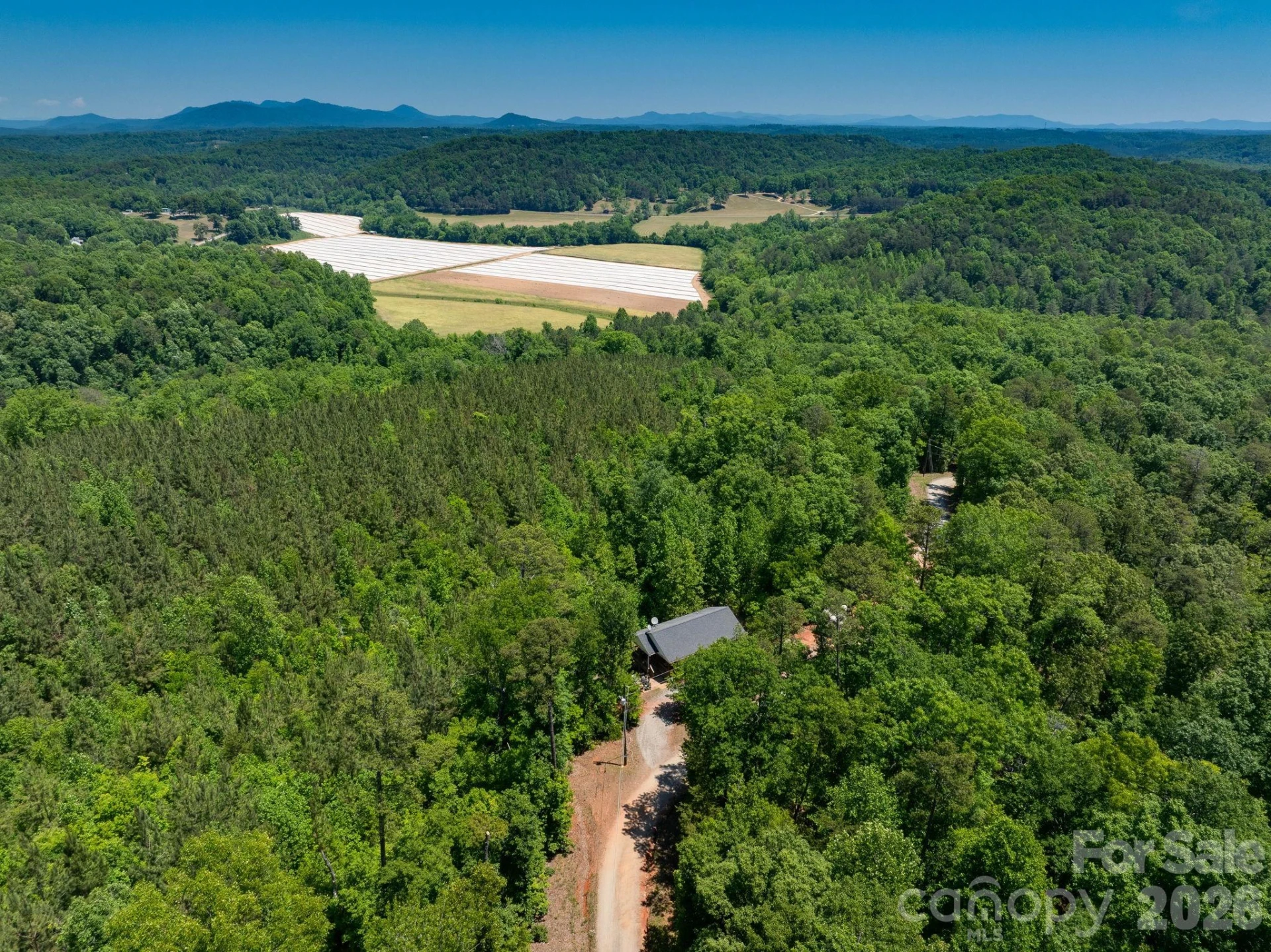 419 Travelers Rest Lane - Photo 32