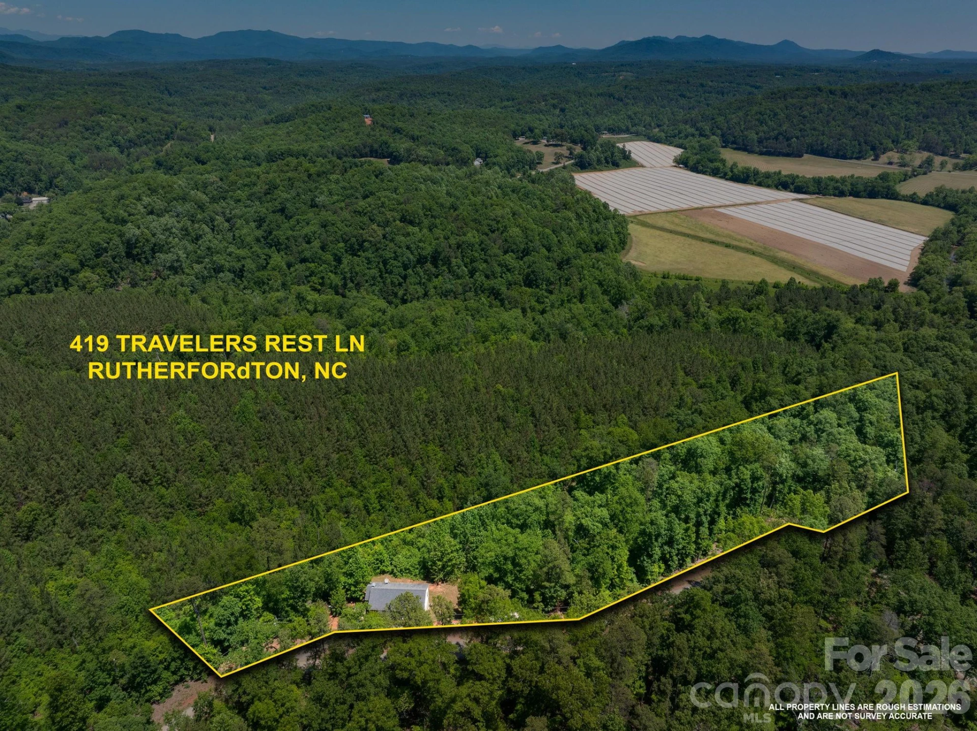 419 Travelers Rest Lane - Photo 33