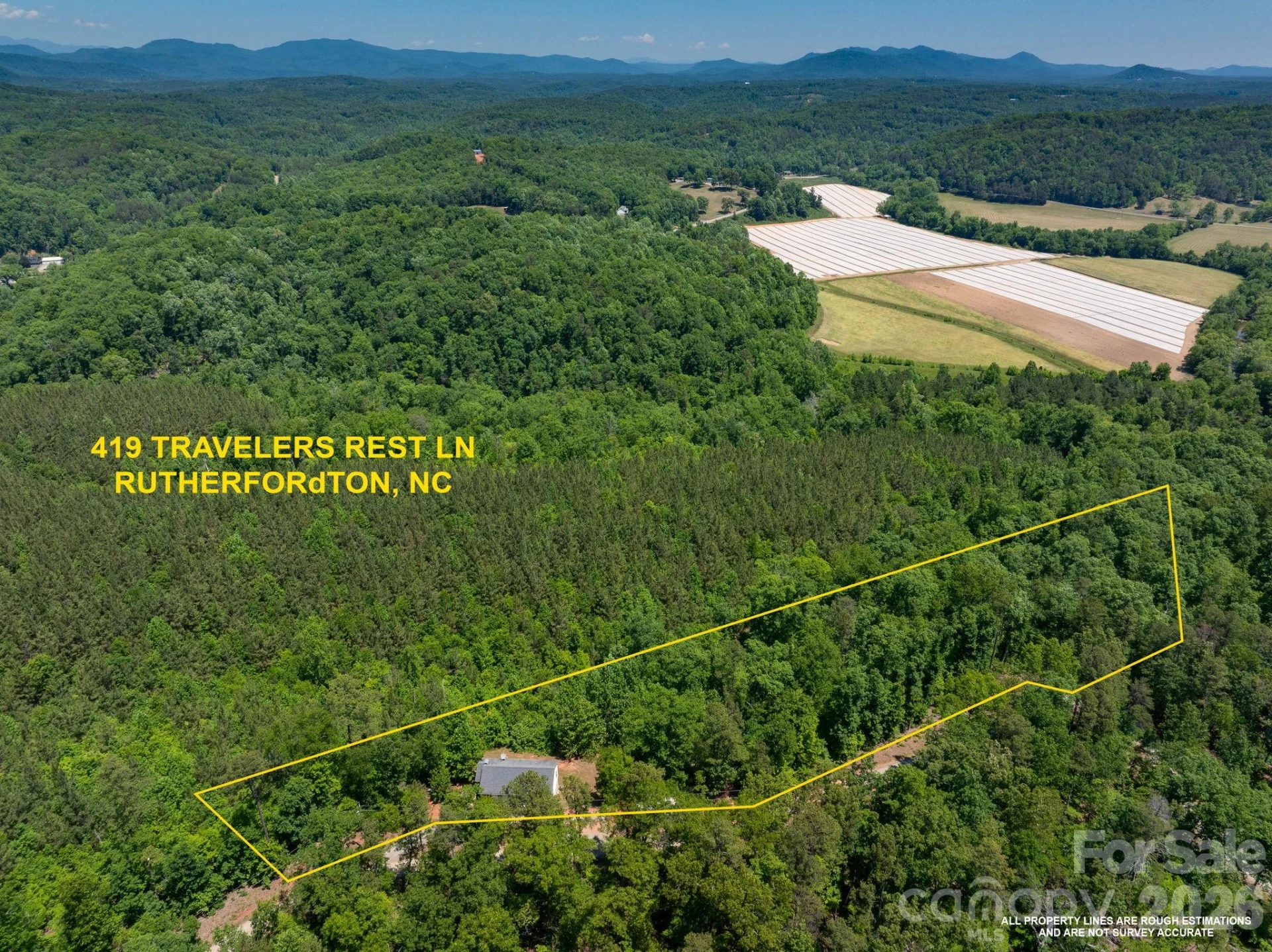 419 Travelers Rest Lane - Photo 34