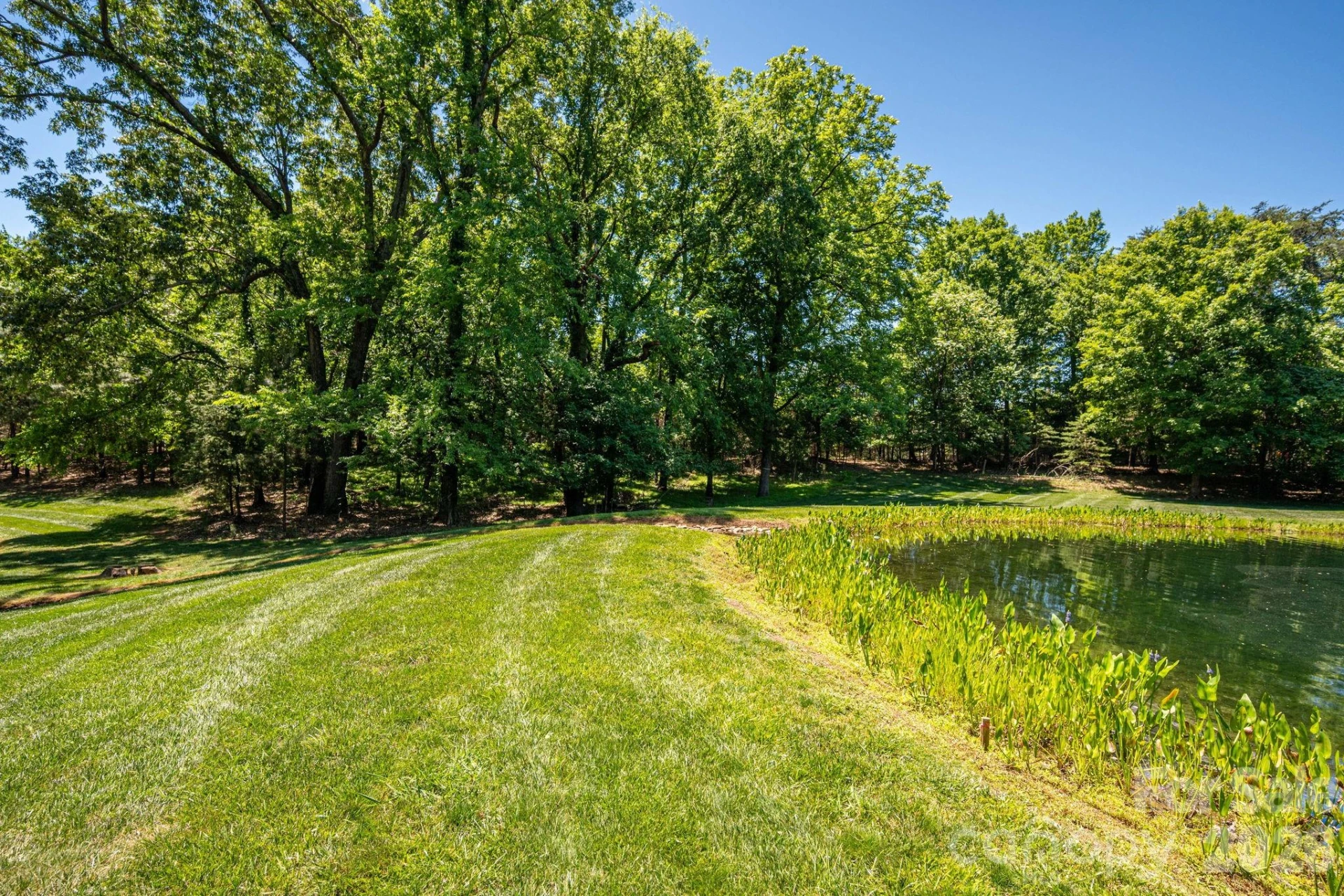 1116 Verdant Ridge Circle - Photo 11