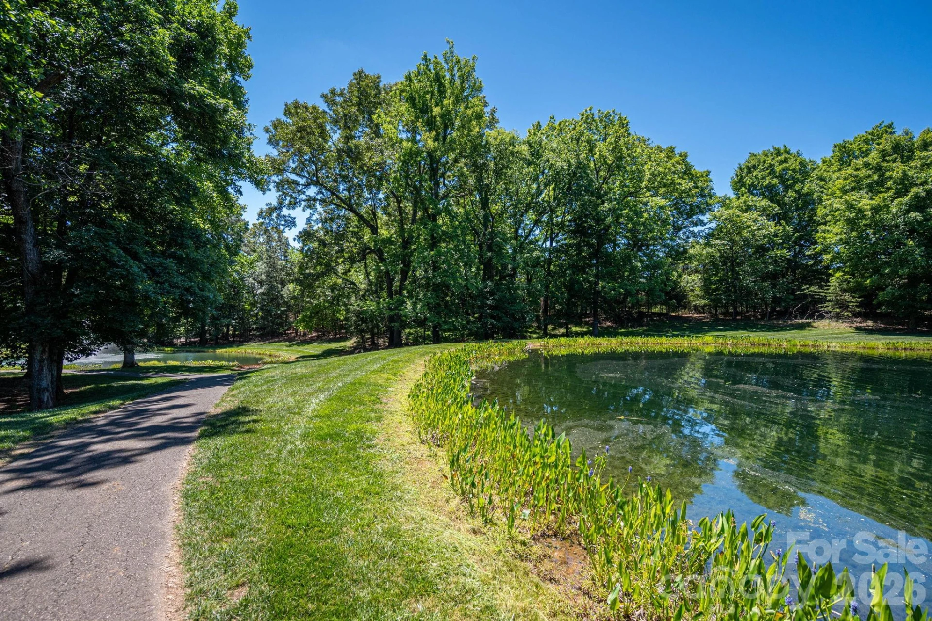 1116 Verdant Ridge Circle - Photo 12