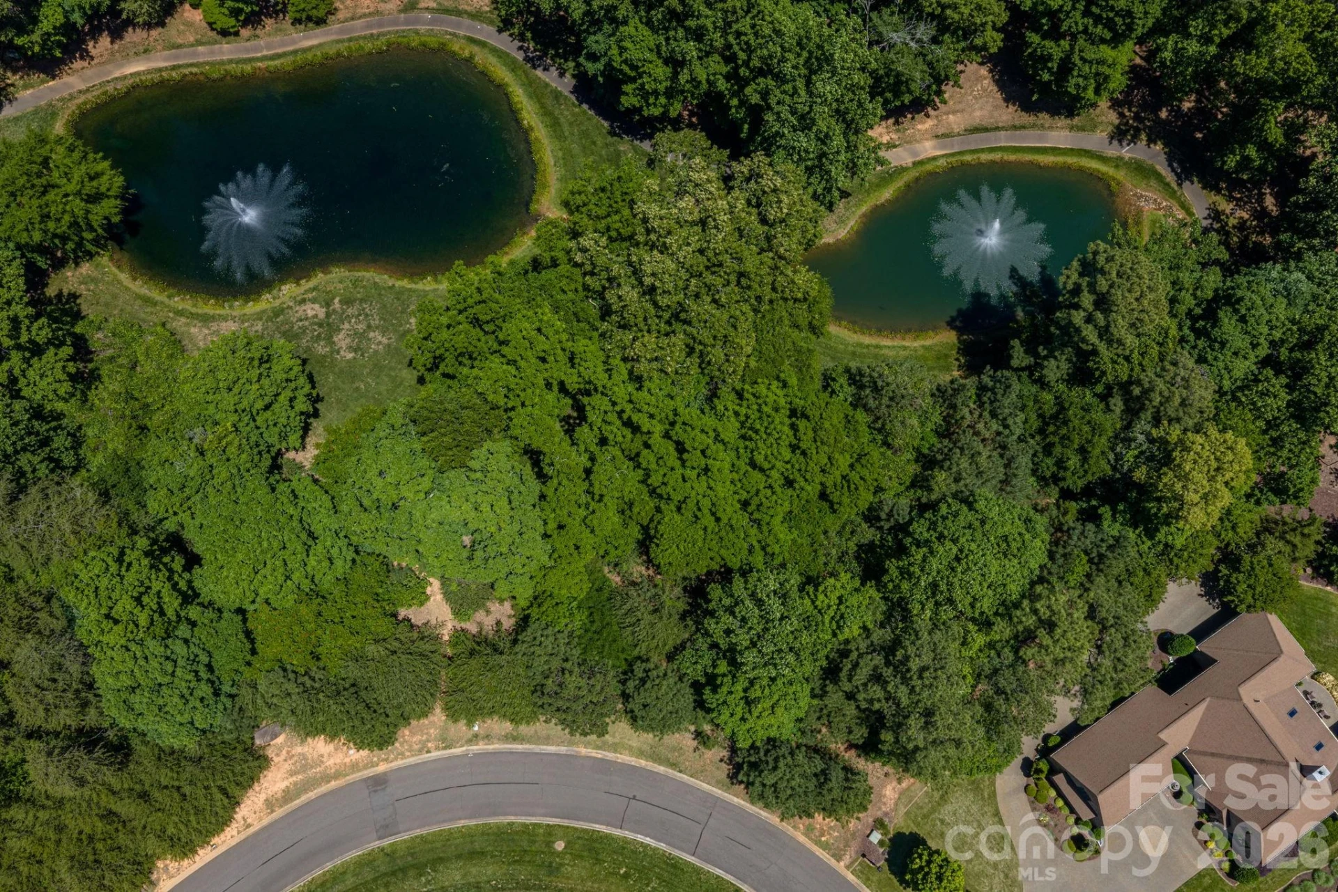 1116 Verdant Ridge Circle - Photo 4