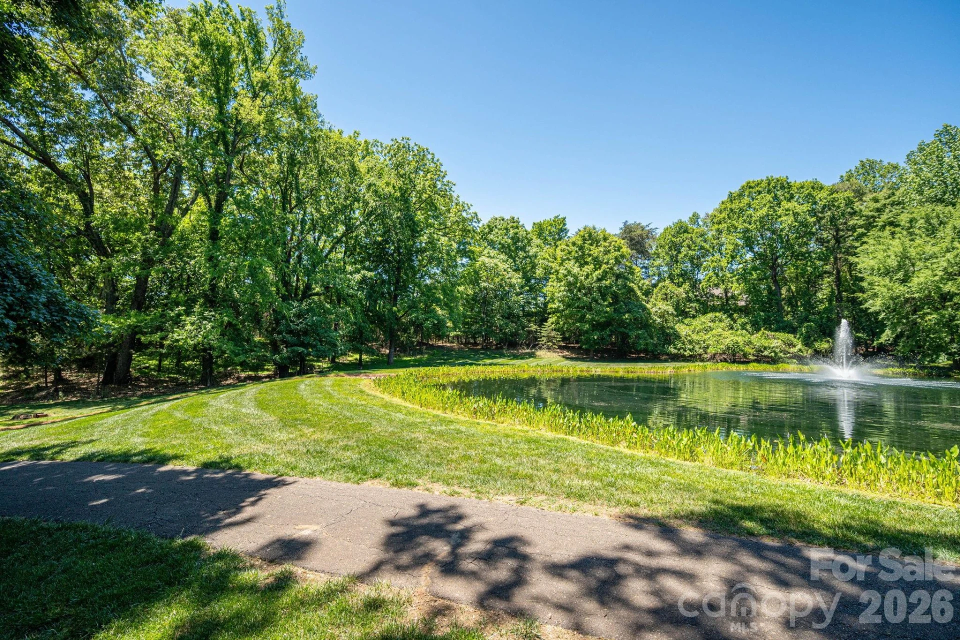 1116 Verdant Ridge Circle - Photo 9