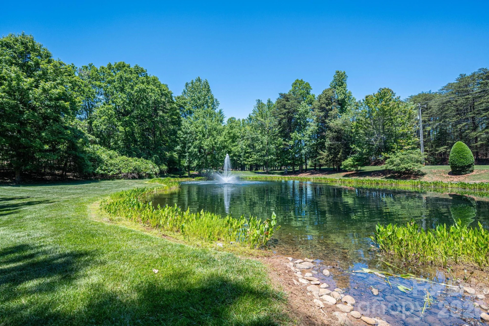 1116 Verdant Ridge Circle - Photo 10