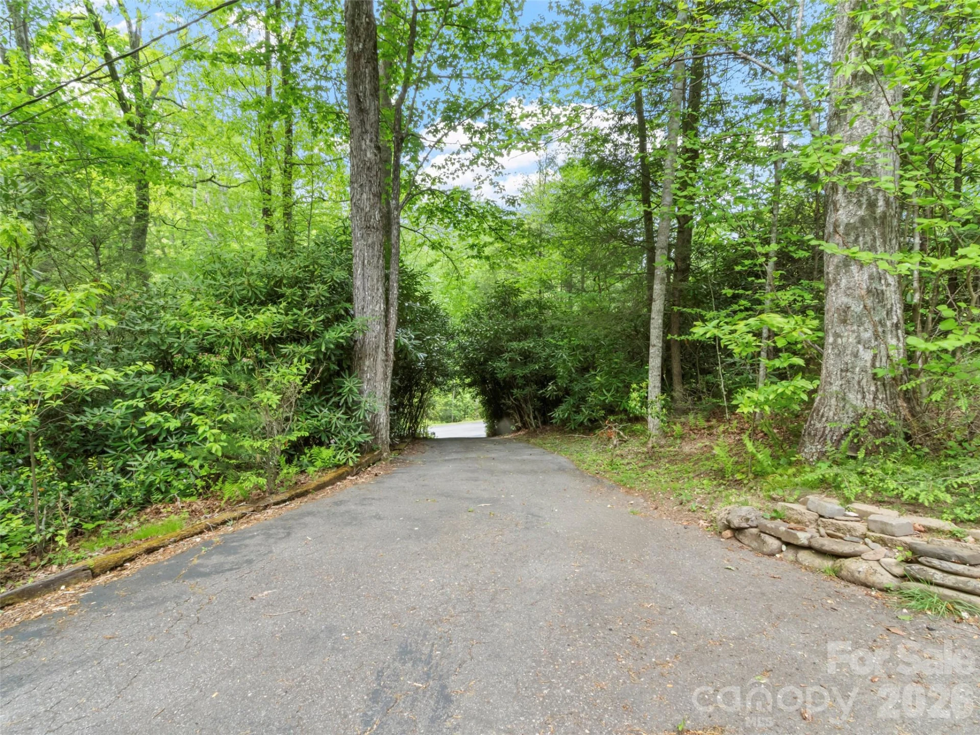 597 Sweetwater Ridge Road - Photo 41