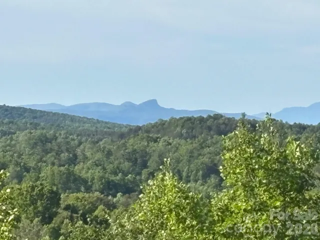TBD Vein Mountain Road, Nebo, NC, 28761