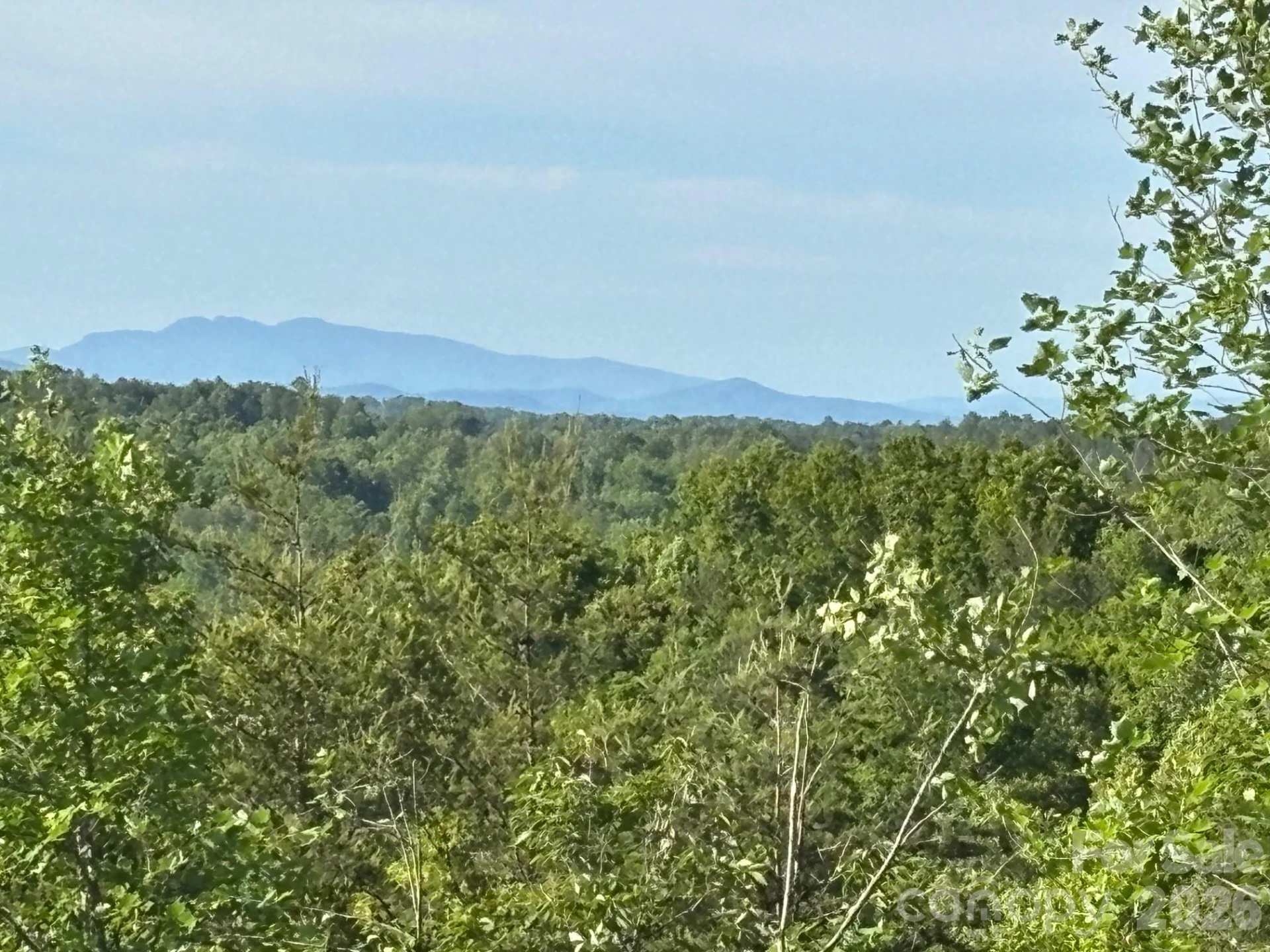 TBD Vein Mountain Road #6 - Photo 2