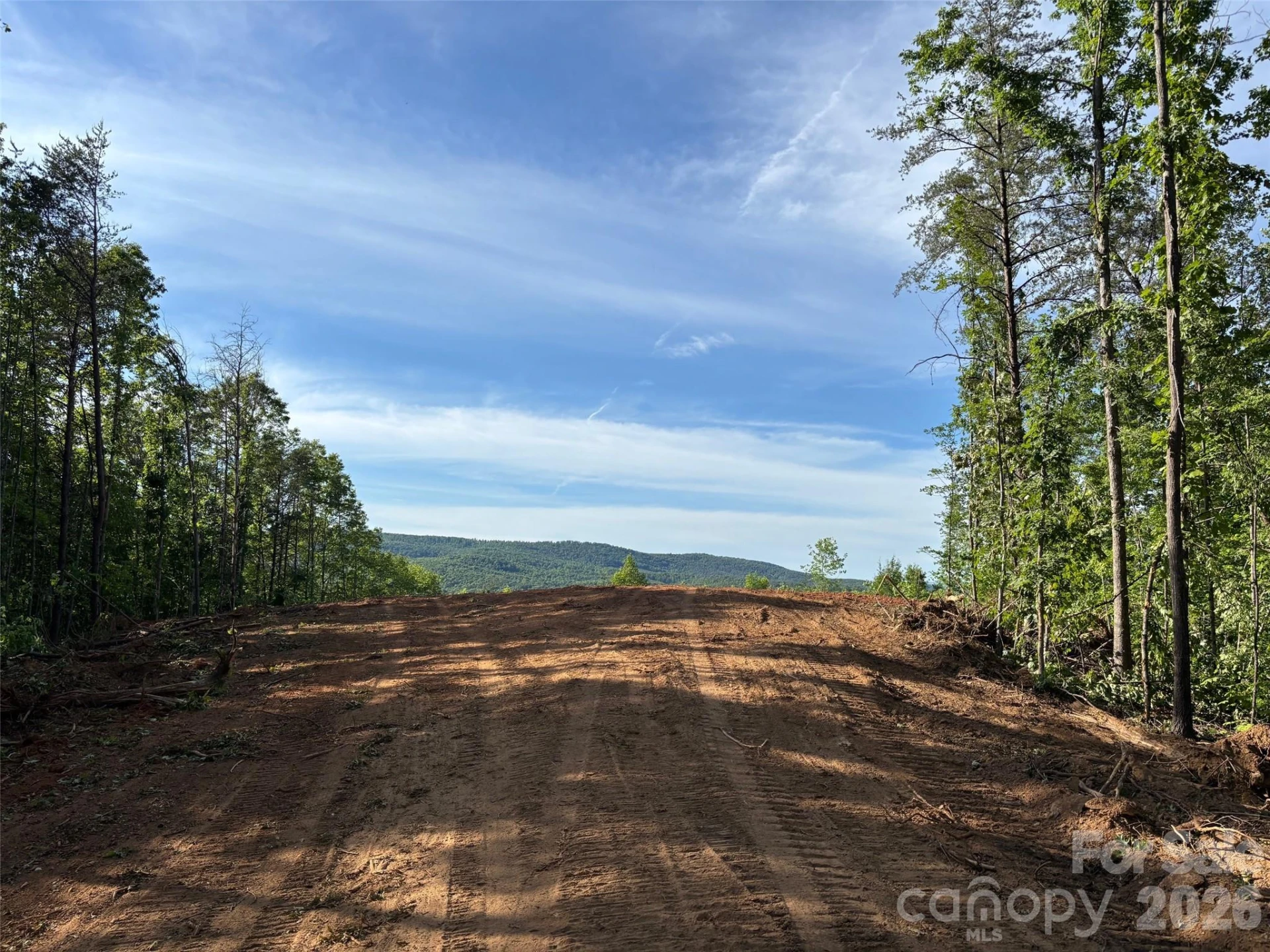 TBD Vein Mountain Road #6 - Photo 11