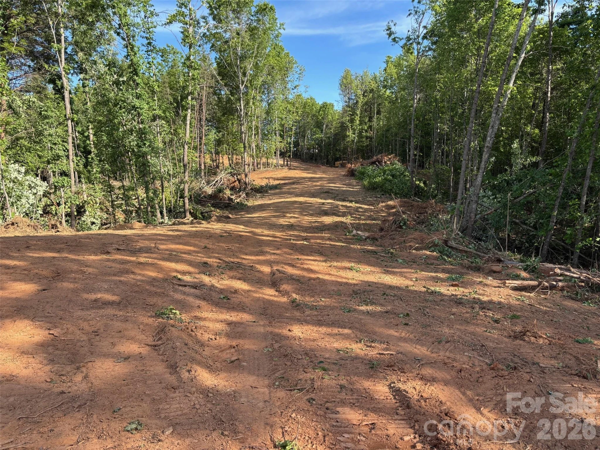 TBD Vein Mountain Road #6 - Photo 12