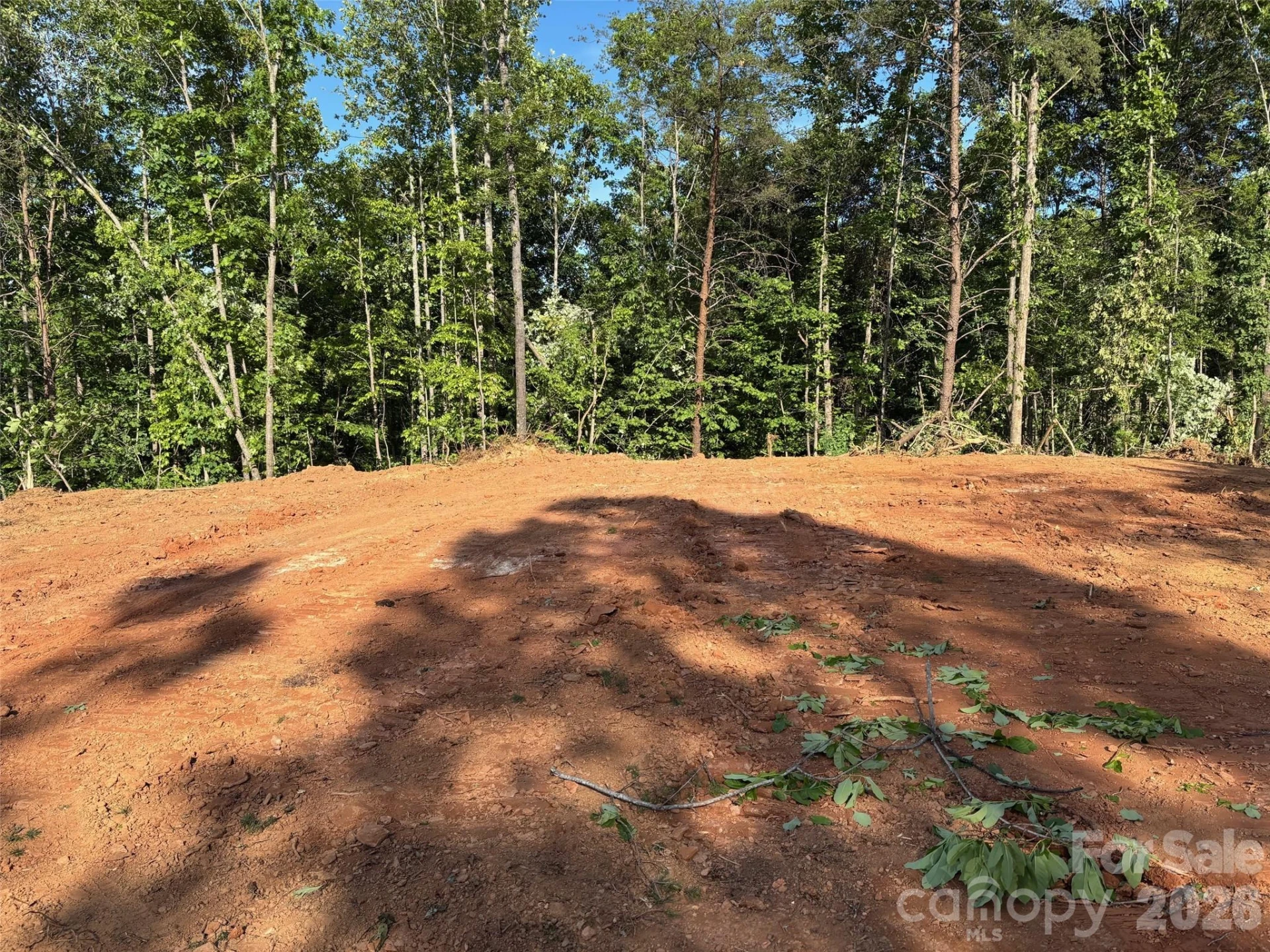TBD Vein Mountain Road #6 - Photo 14