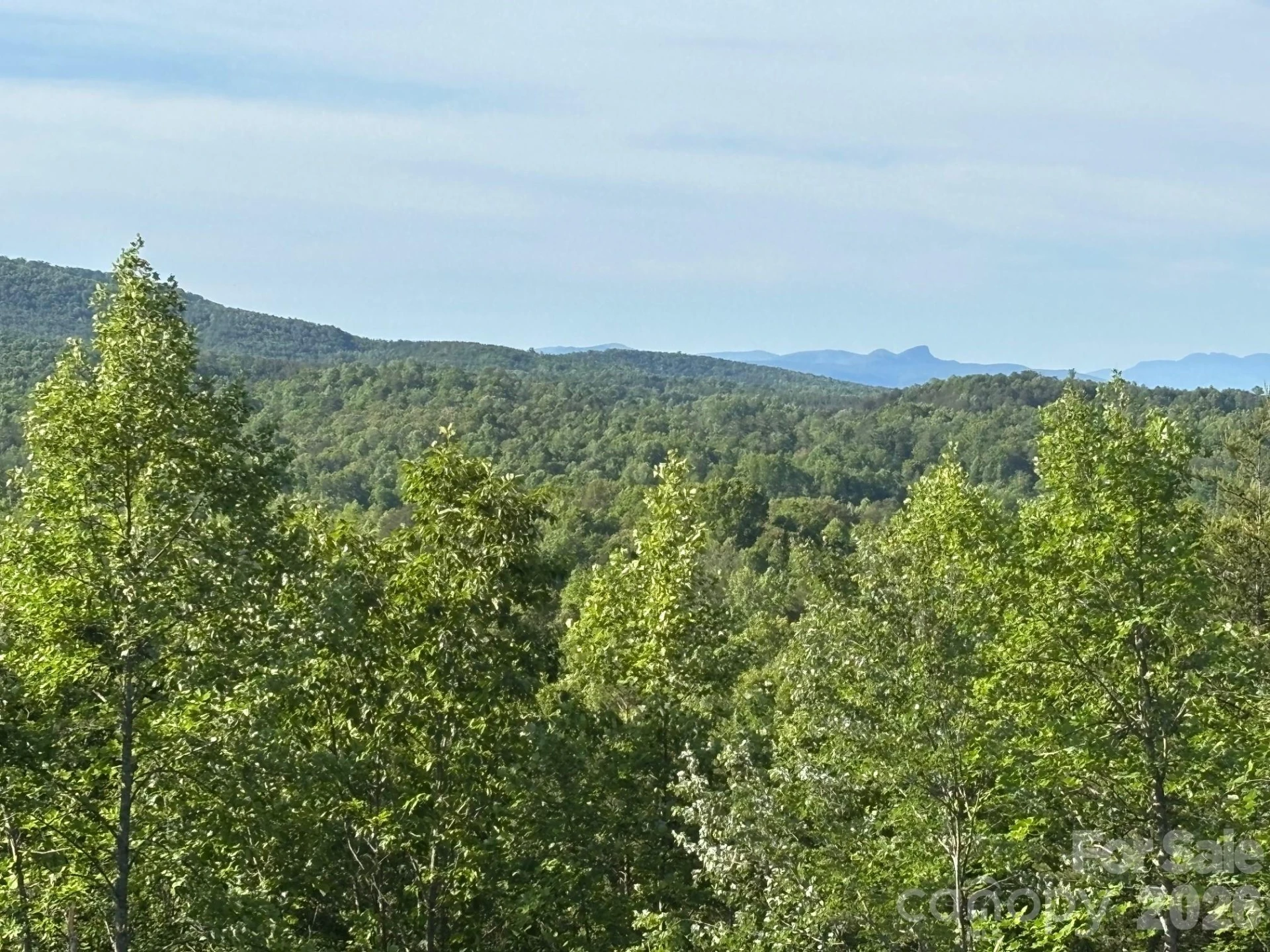 TBD Vein Mountain Road #6 - Photo 3