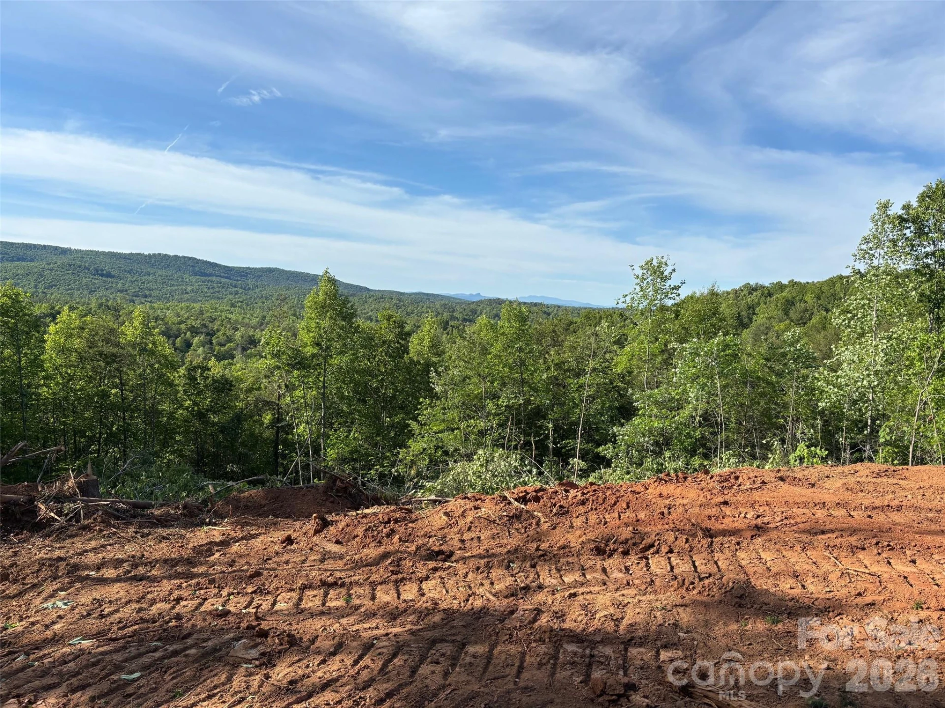 TBD Vein Mountain Road #6 - Photo 5
