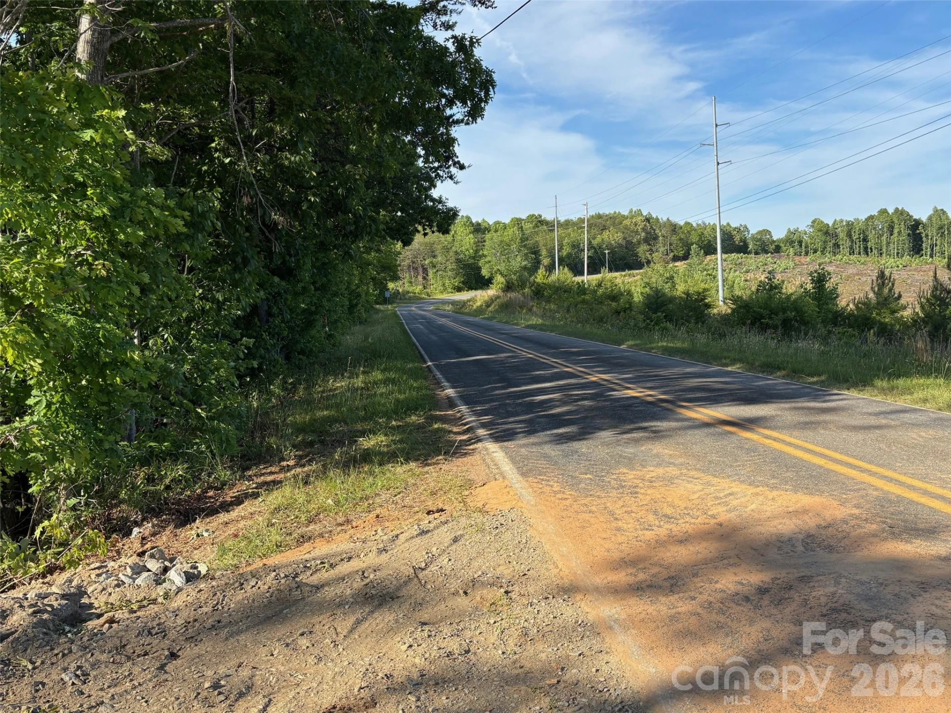 TBD Vein Mountain Road #6 - Photo 6