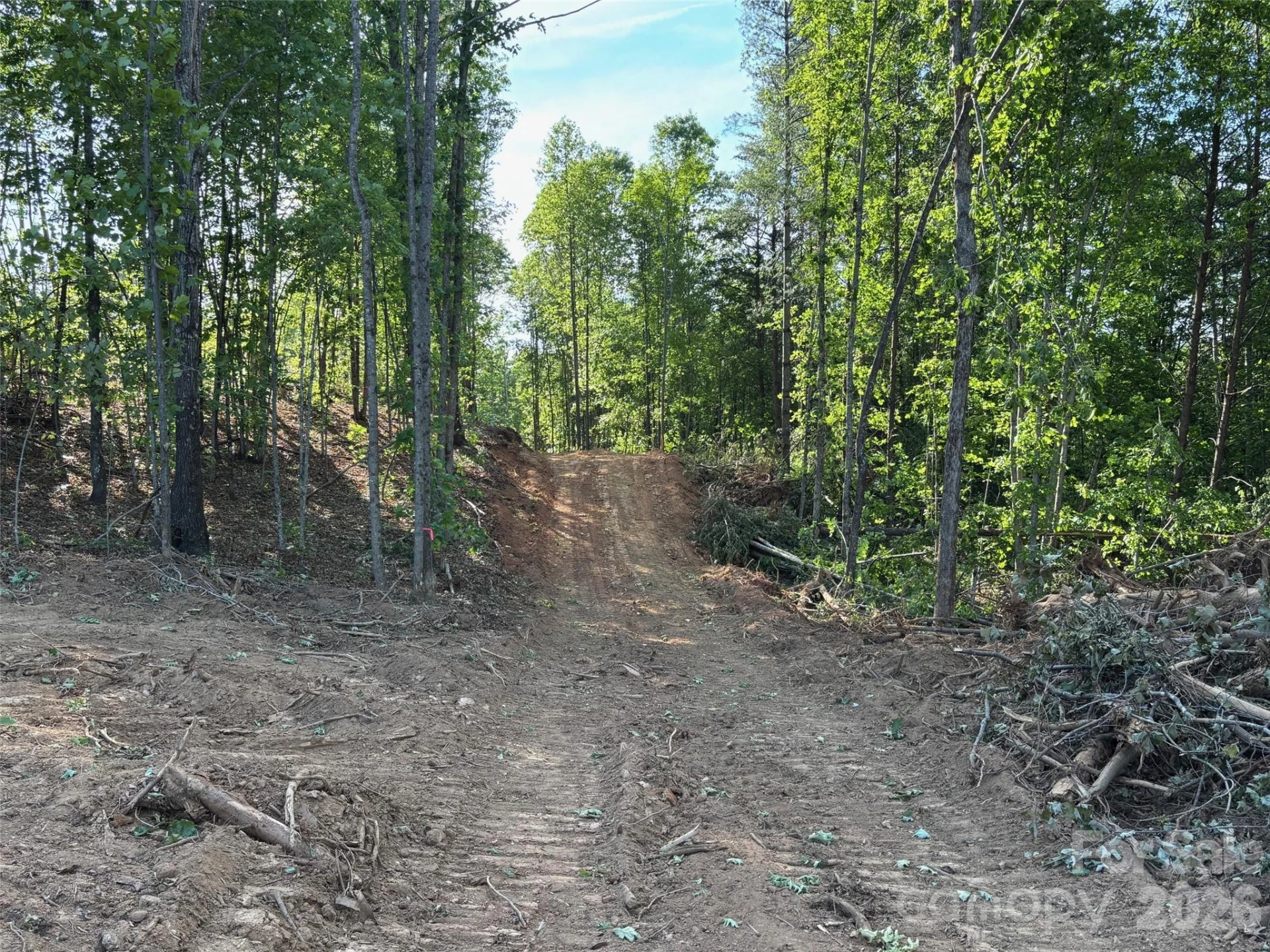 TBD Vein Mountain Road #6 - Photo 8