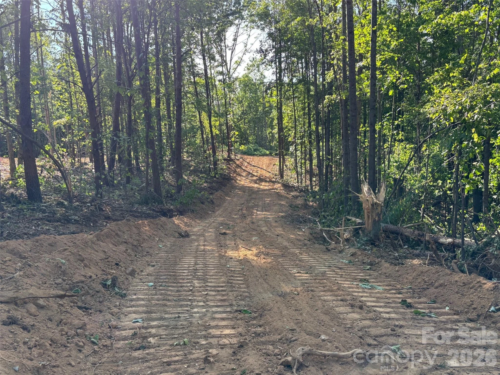 TBD Vein Mountain Road #6 - Photo 9