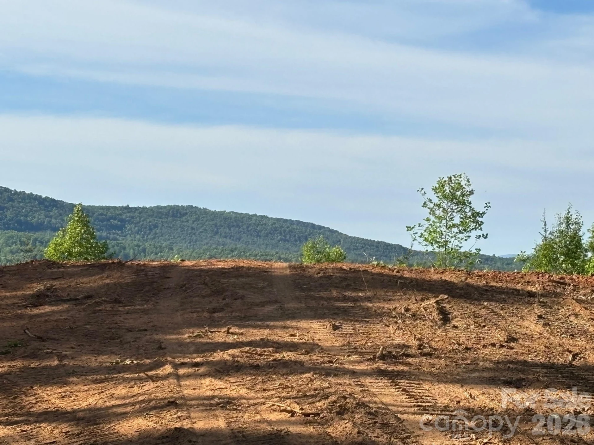 TBD Vein Mountain Road #6 - Photo 10