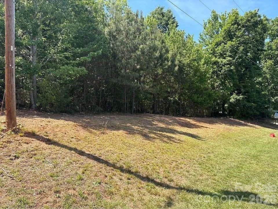00 Shady Meadow Lane #Lot 17 - Photo 3