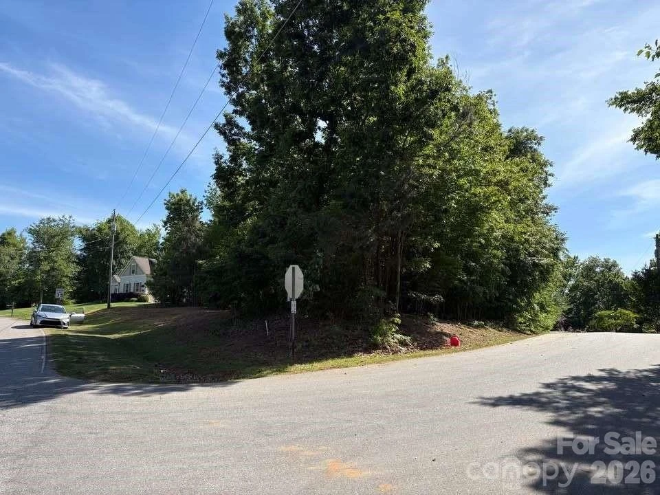 00 Shady Meadow Lane #Lot 17 - Photo 4