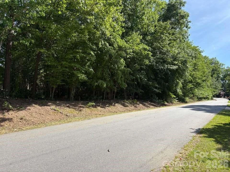00 Shady Meadow Lane #Lot 17 - Photo 5