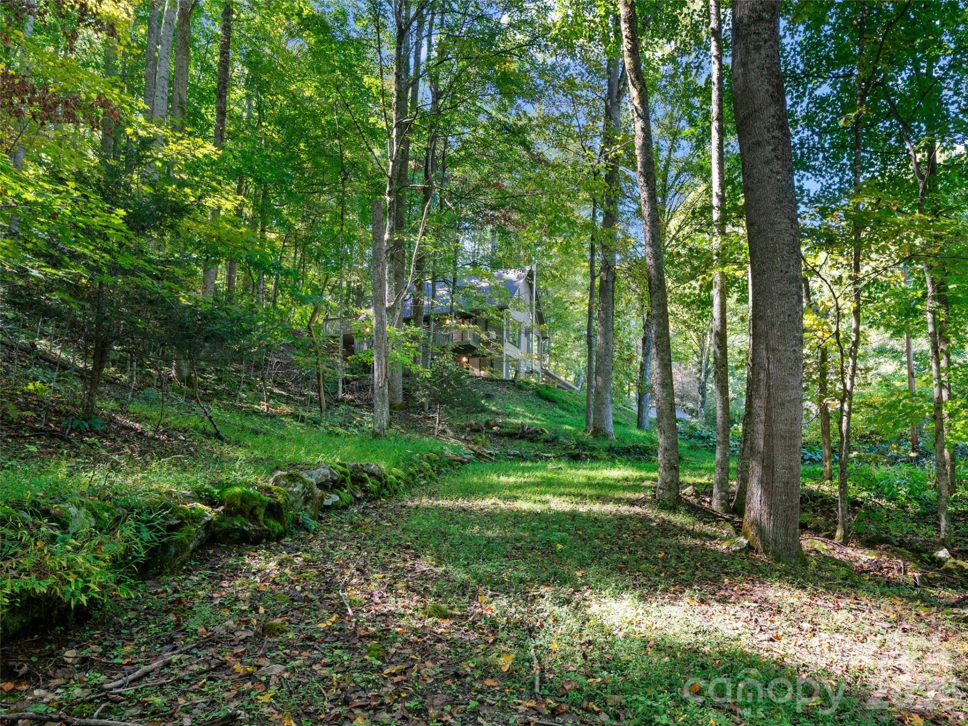 81 Summer Trees Lane - Photo 33