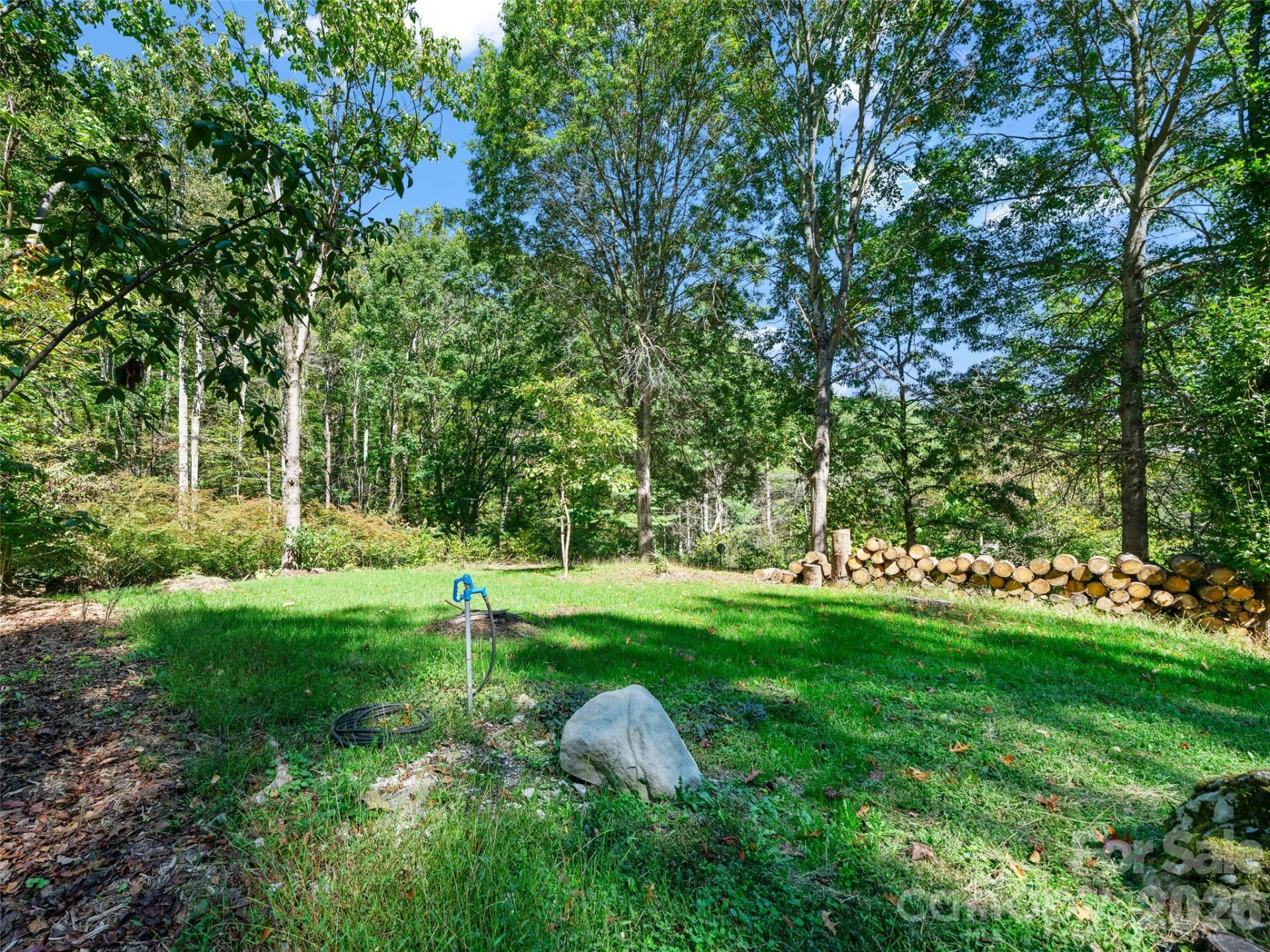81 Summer Trees Lane - Photo 34