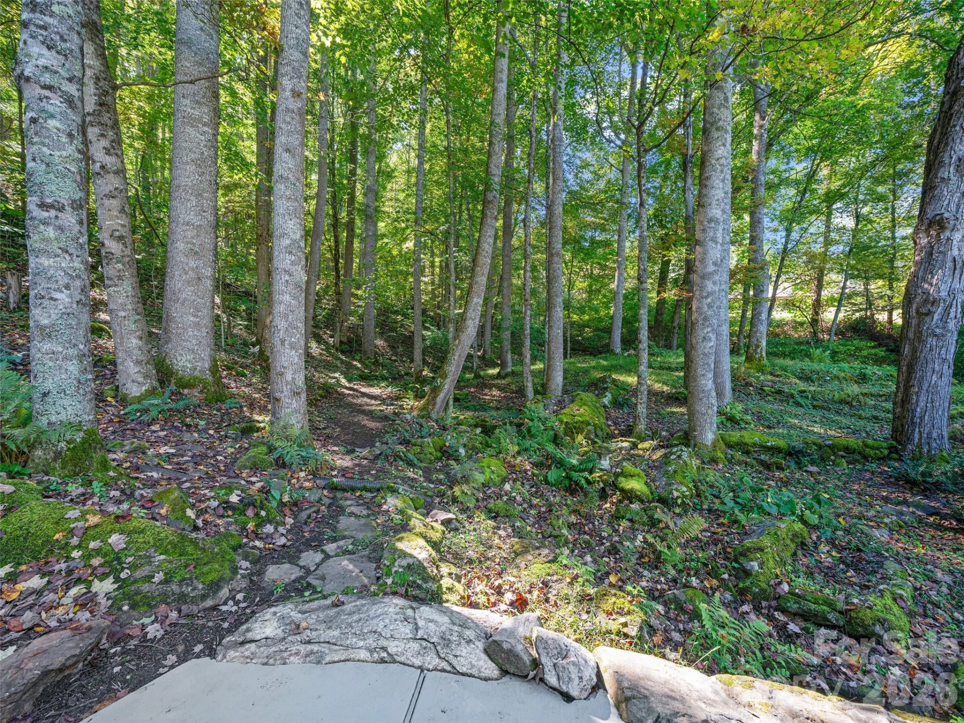 81 Summer Trees Lane - Photo 36