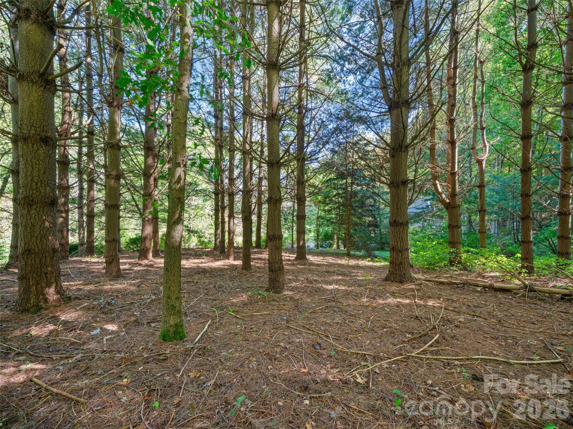 81 Summer Trees Lane - Photo 37