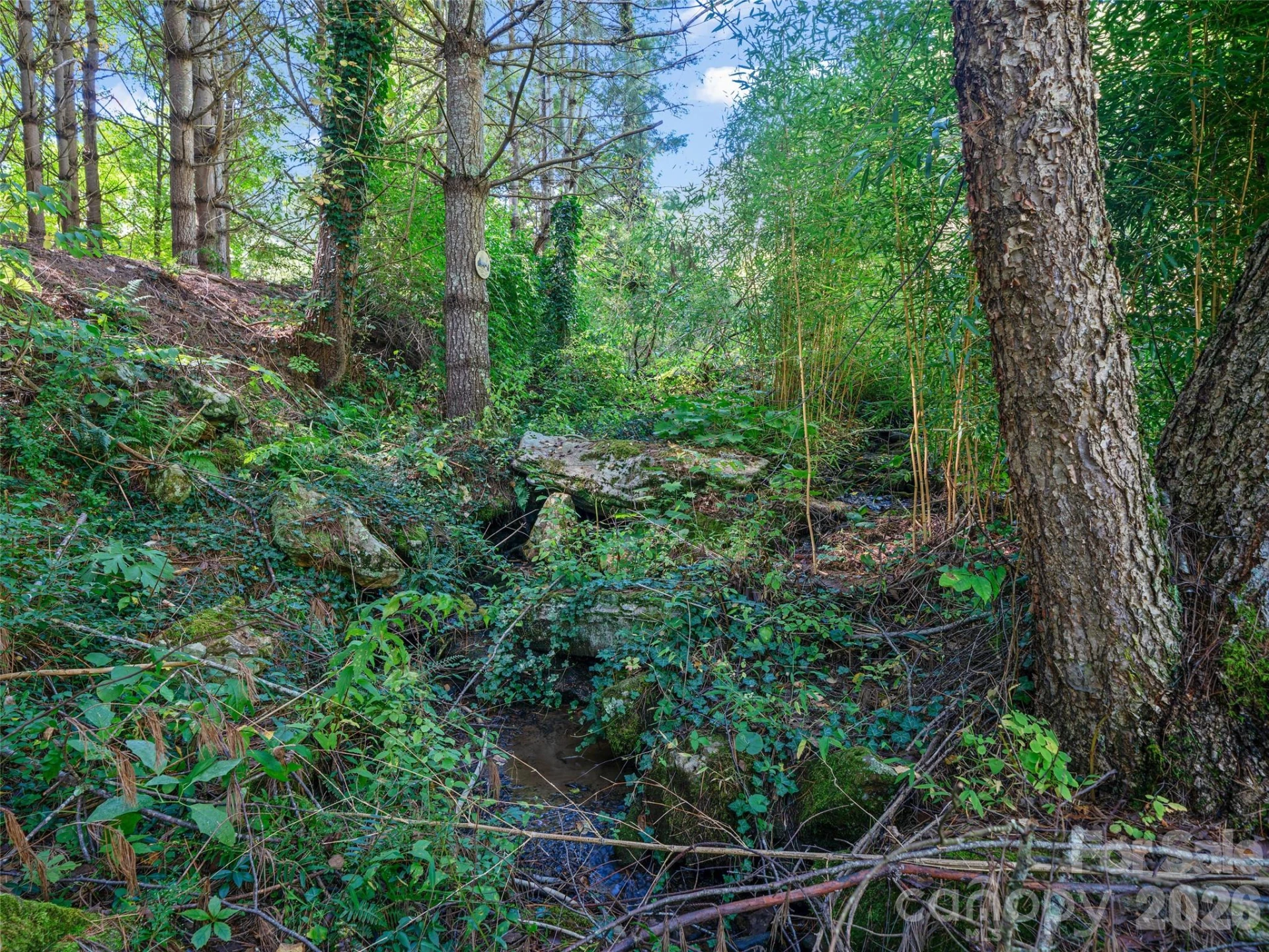 81 Summer Trees Lane - Photo 38
