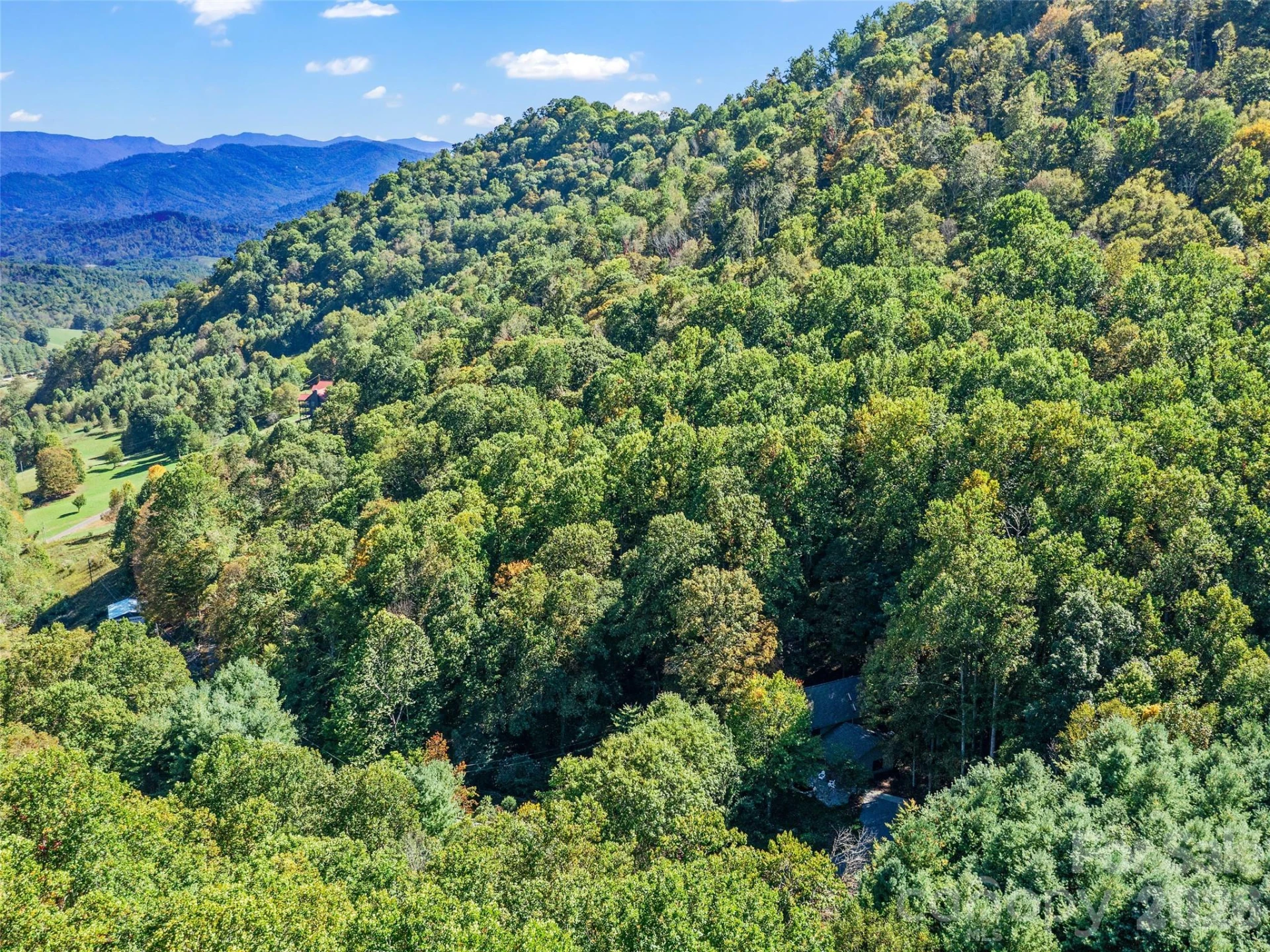 81 Summer Trees Lane - Photo 40