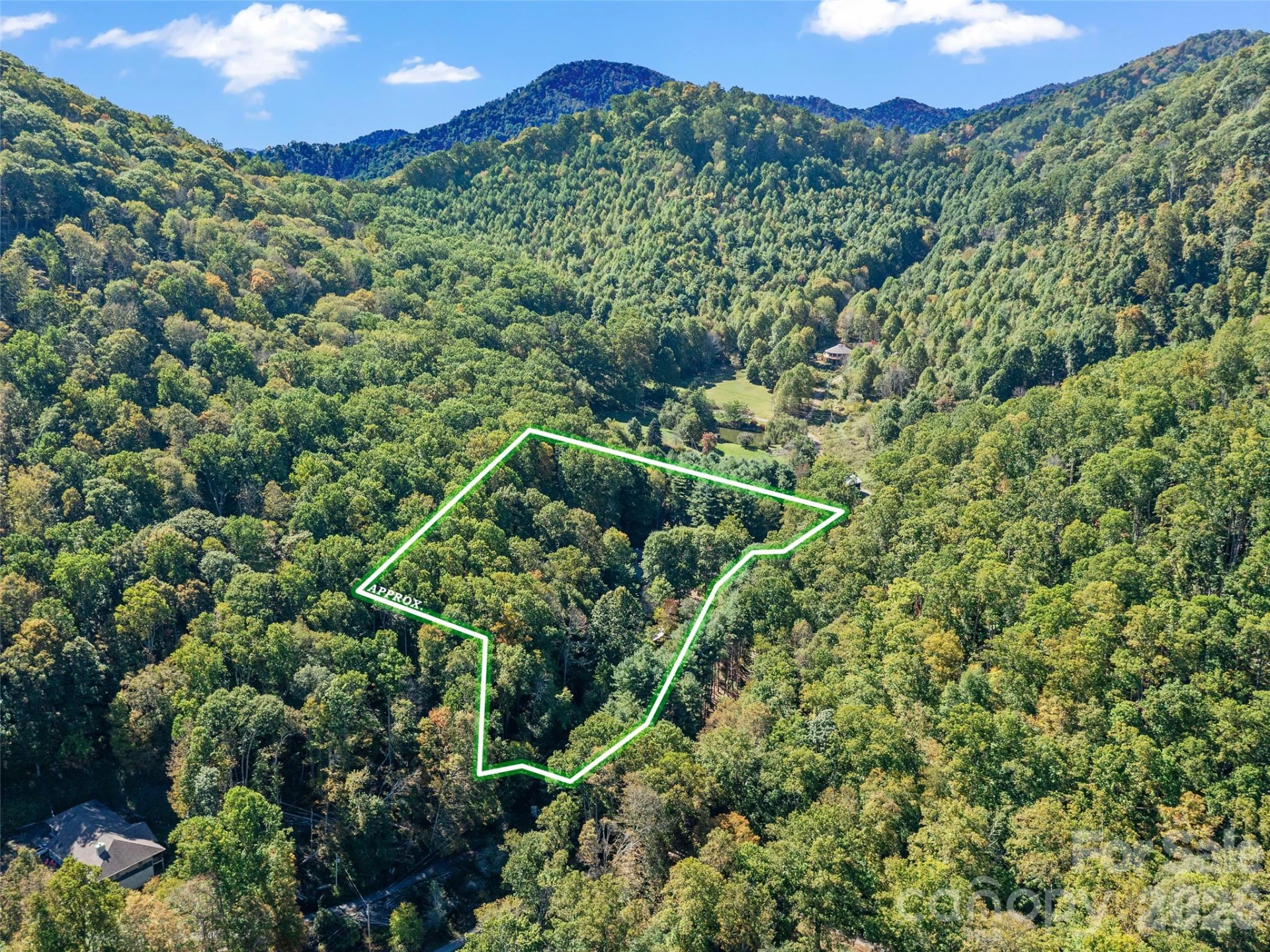 81 Summer Trees Lane - Photo 41