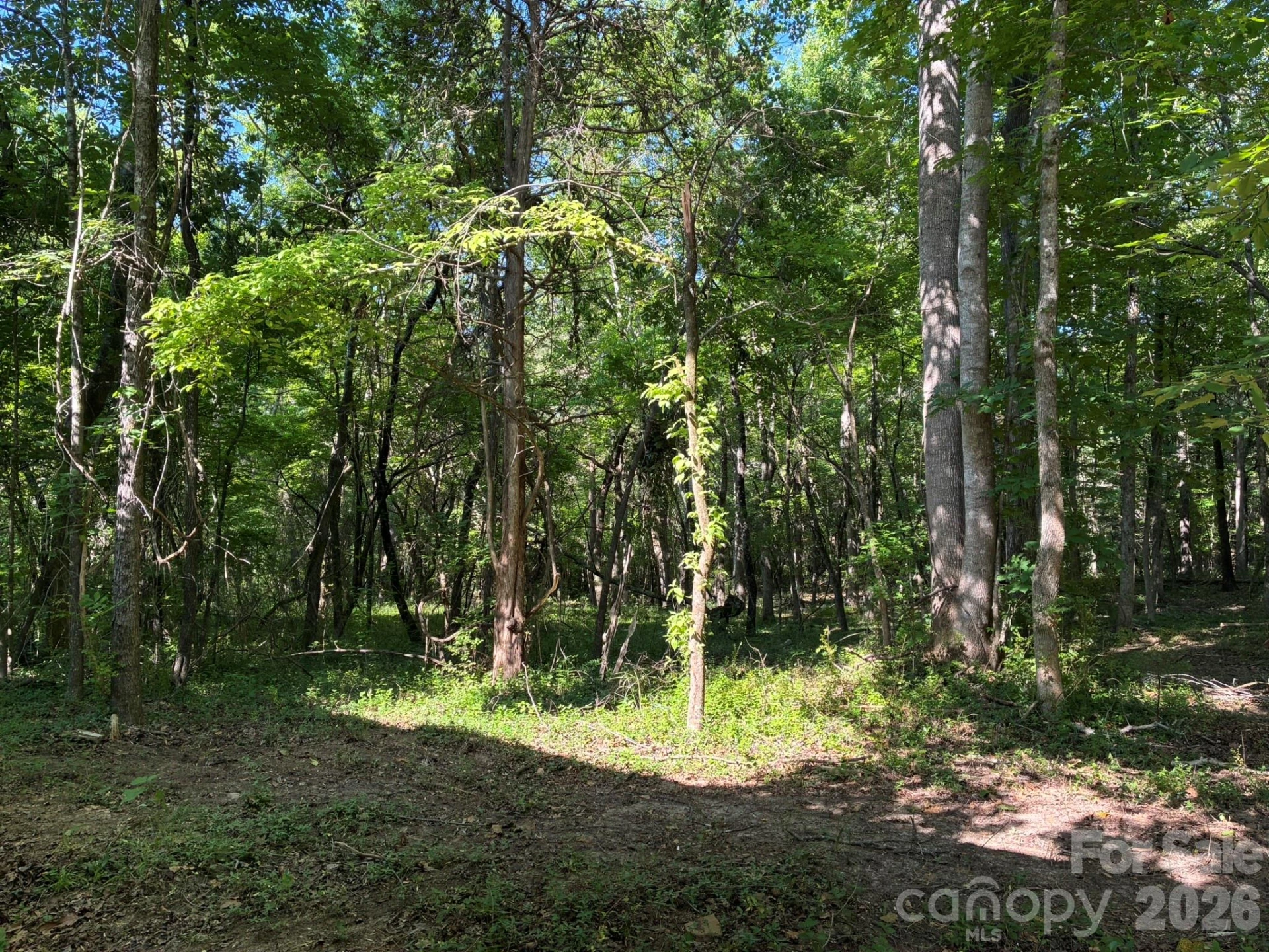 2051 Sutton Spring Road - Photo 11
