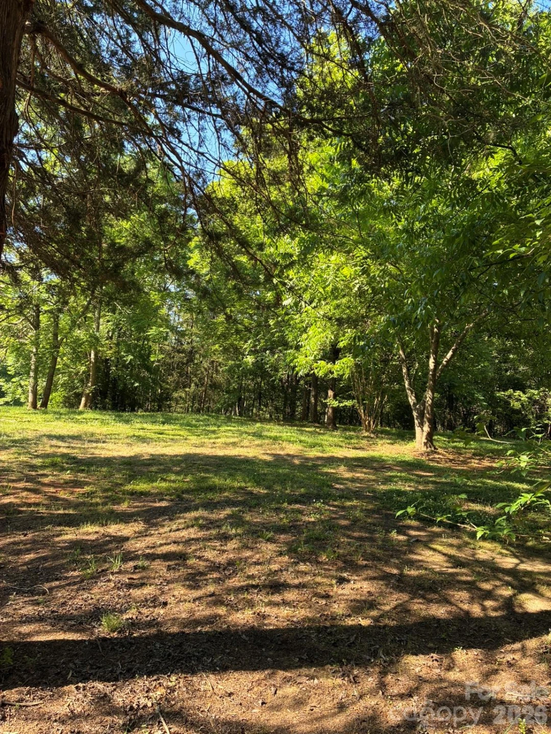 2051 Sutton Spring Road - Photo 10